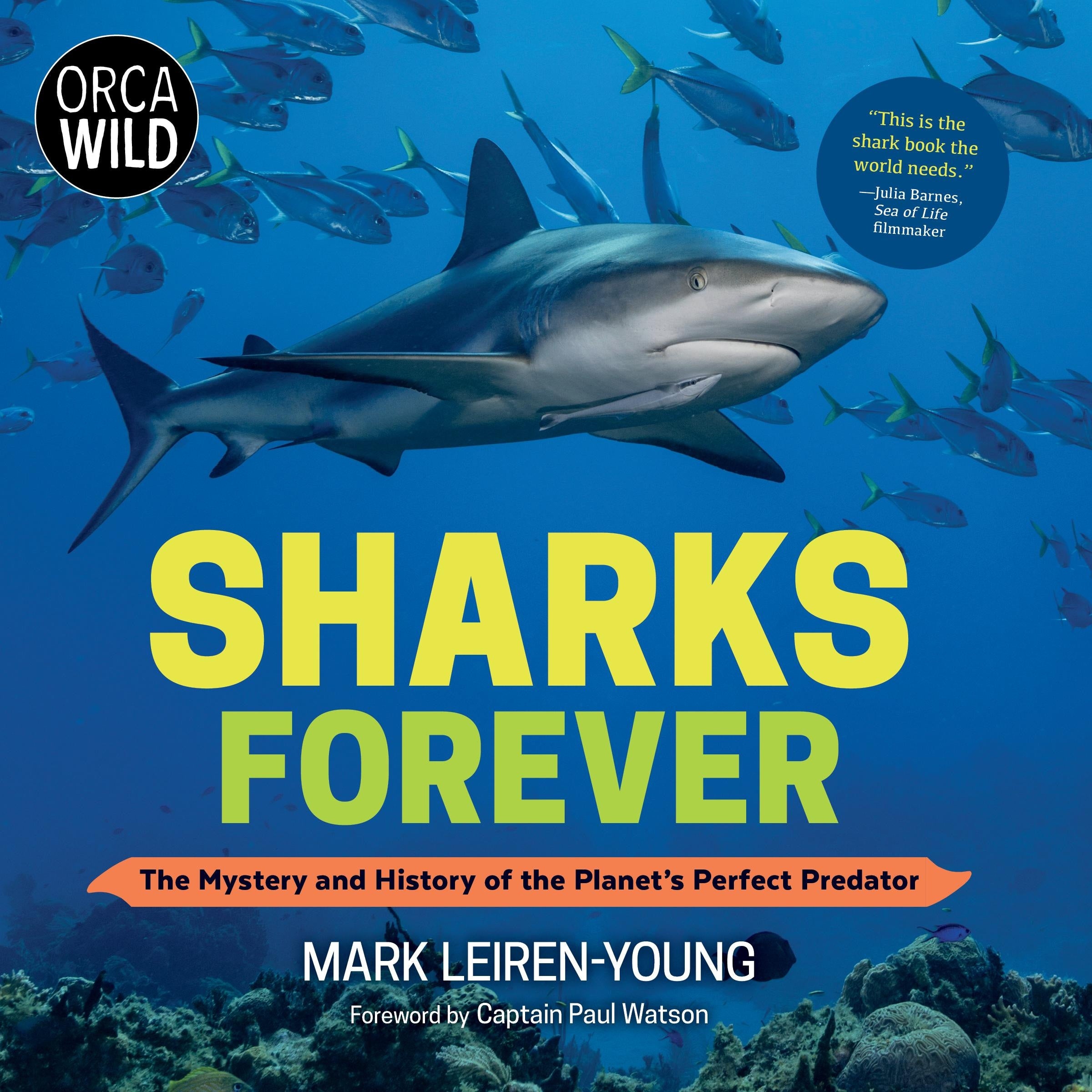 Sharks Forever