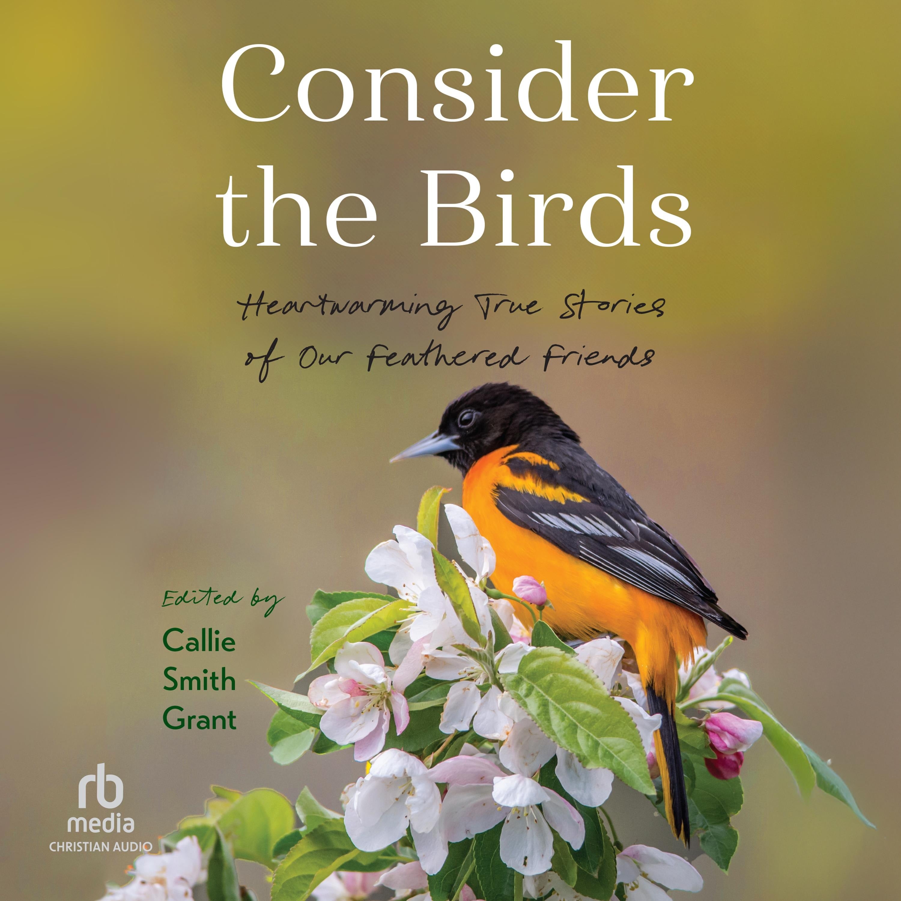 Consider the Birds