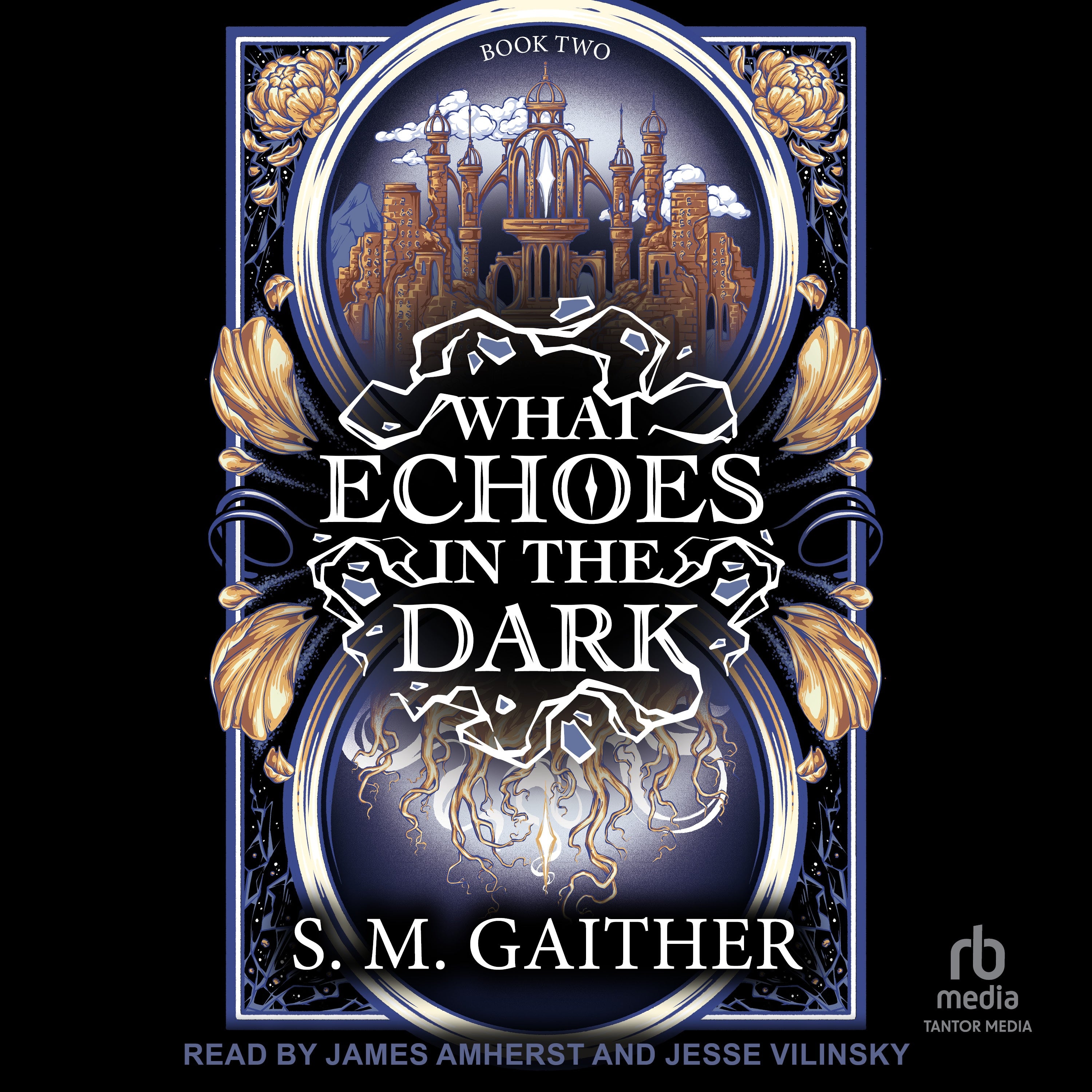 What Echoes in the Dark
