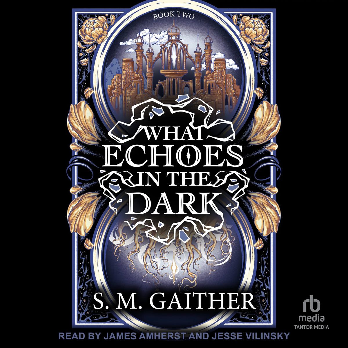 What Echoes in the Dark