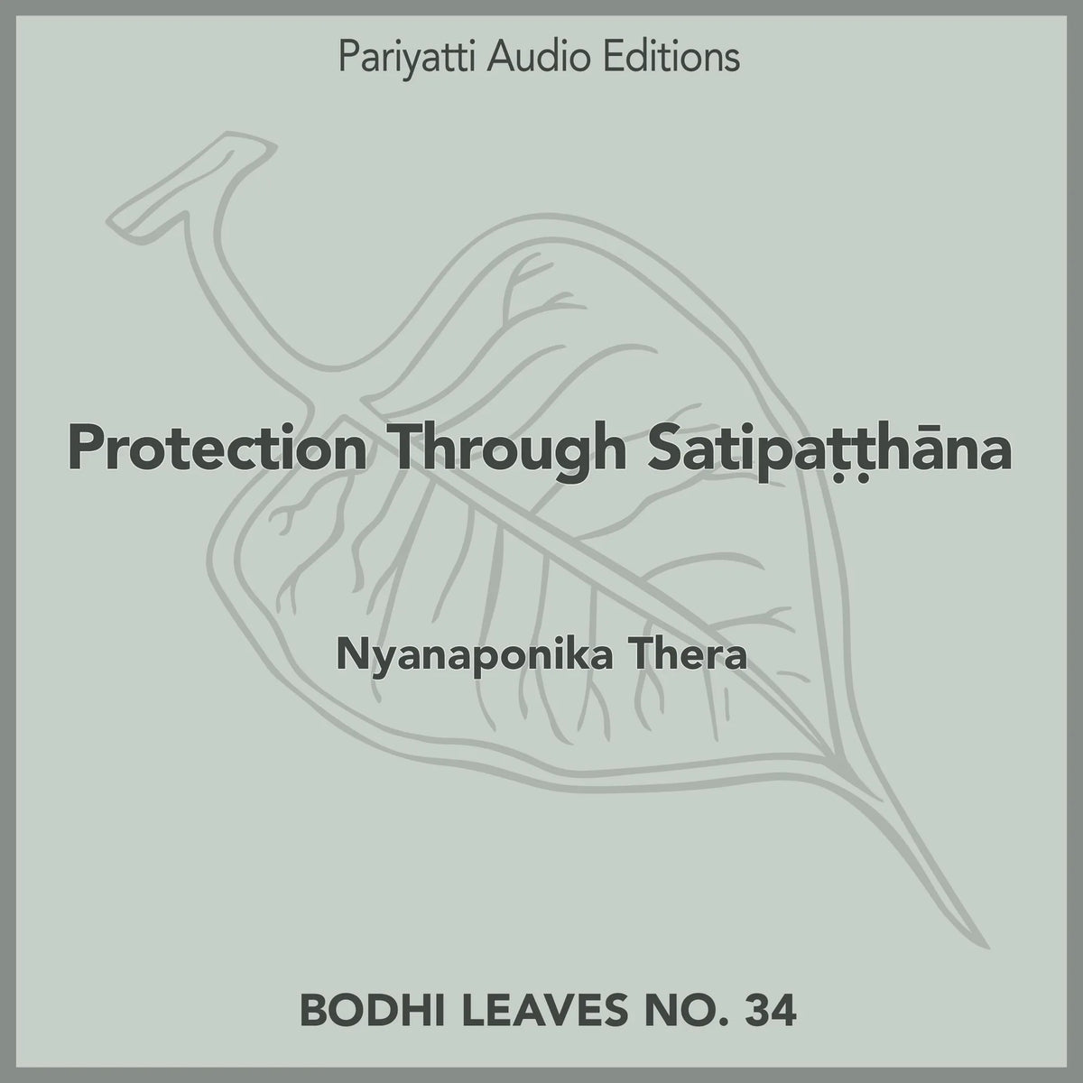 Protection Through Satipaṭṭhāna