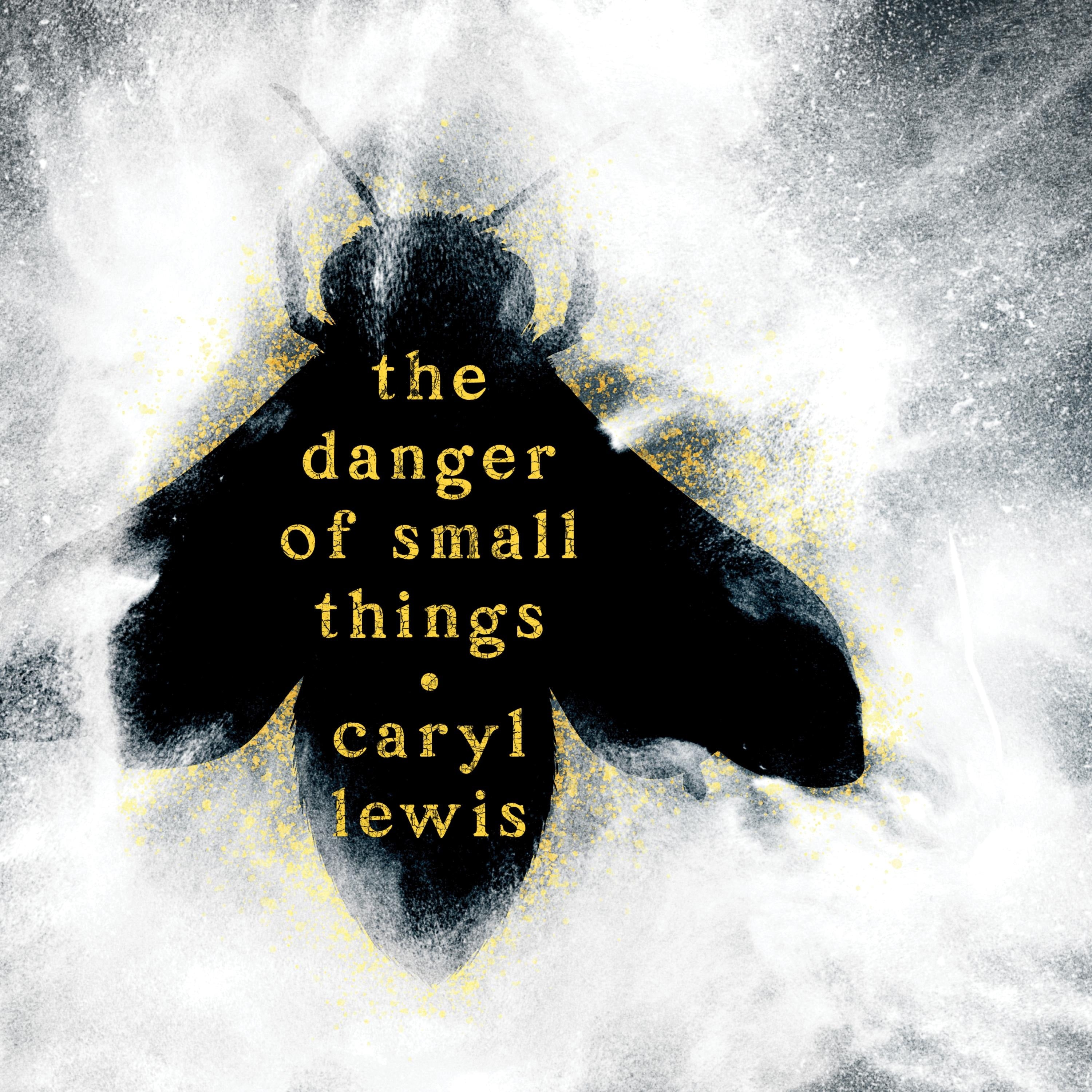 The Danger of Small Things
