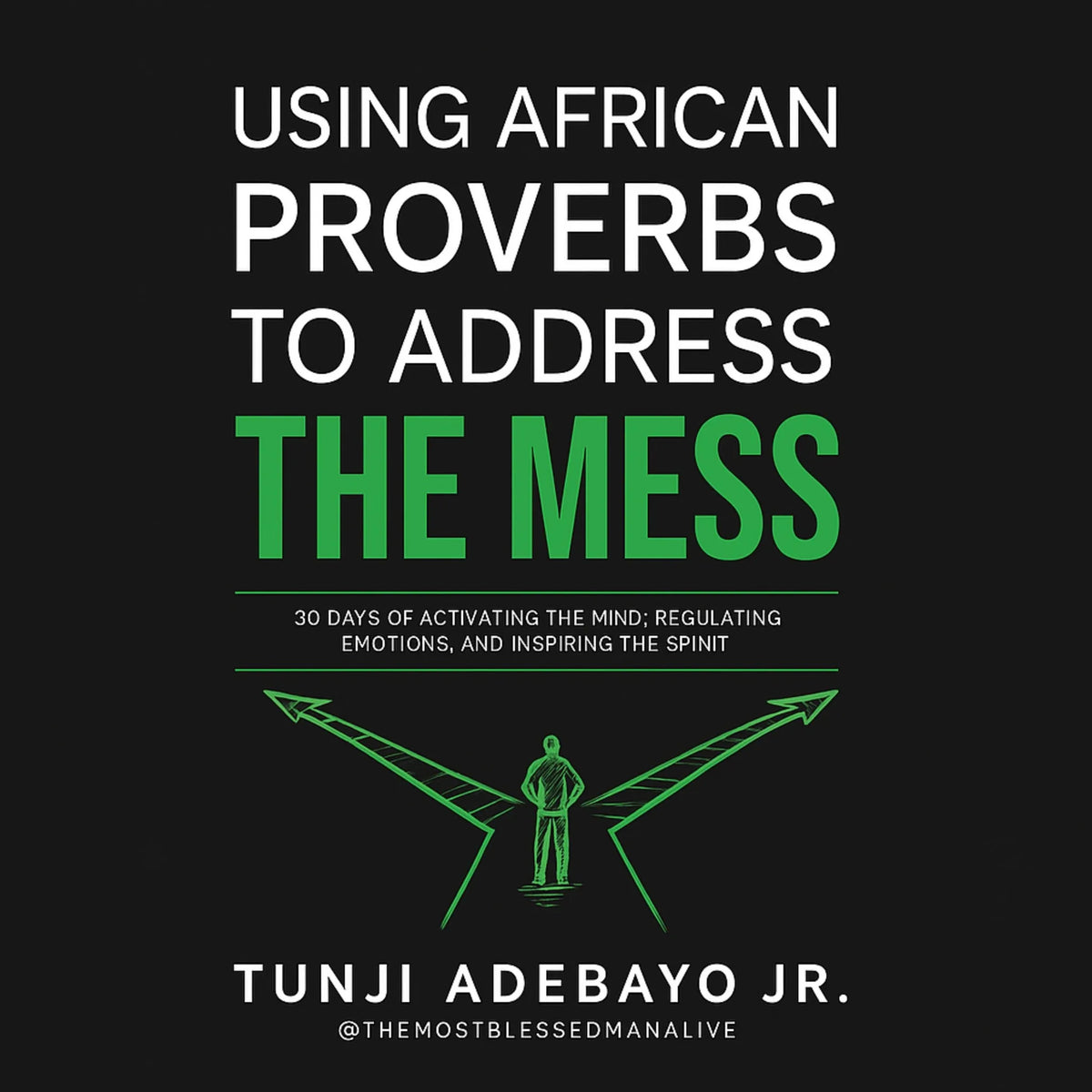 Using African Proverbs to Address the Mess