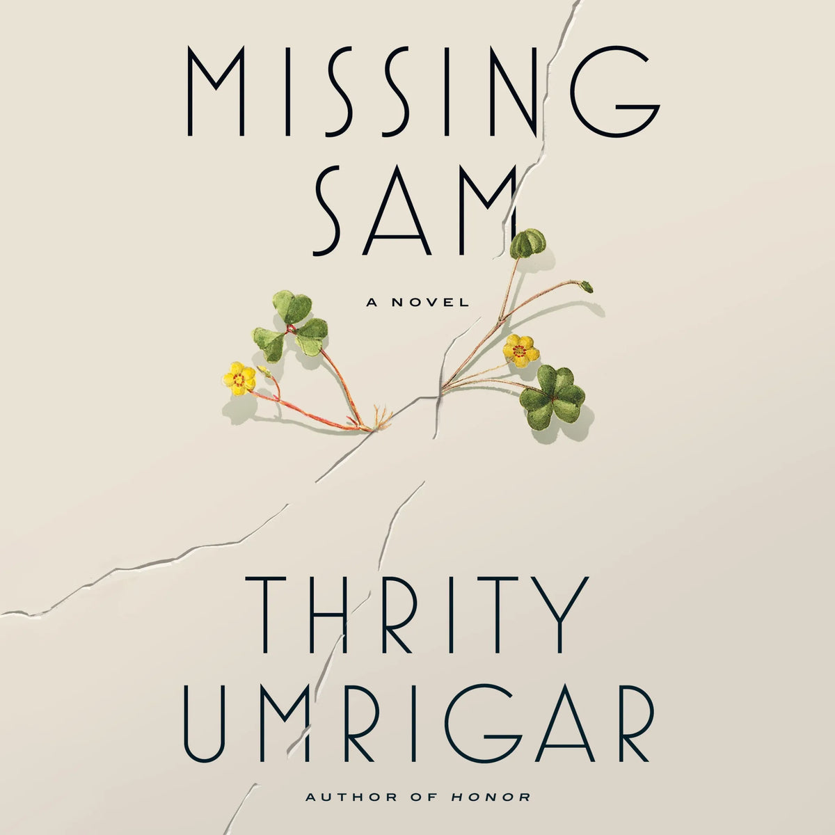 Missing Sam