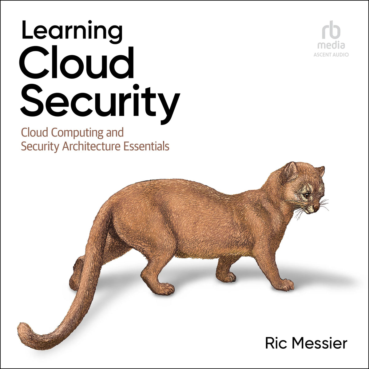 Learning Cloud Security