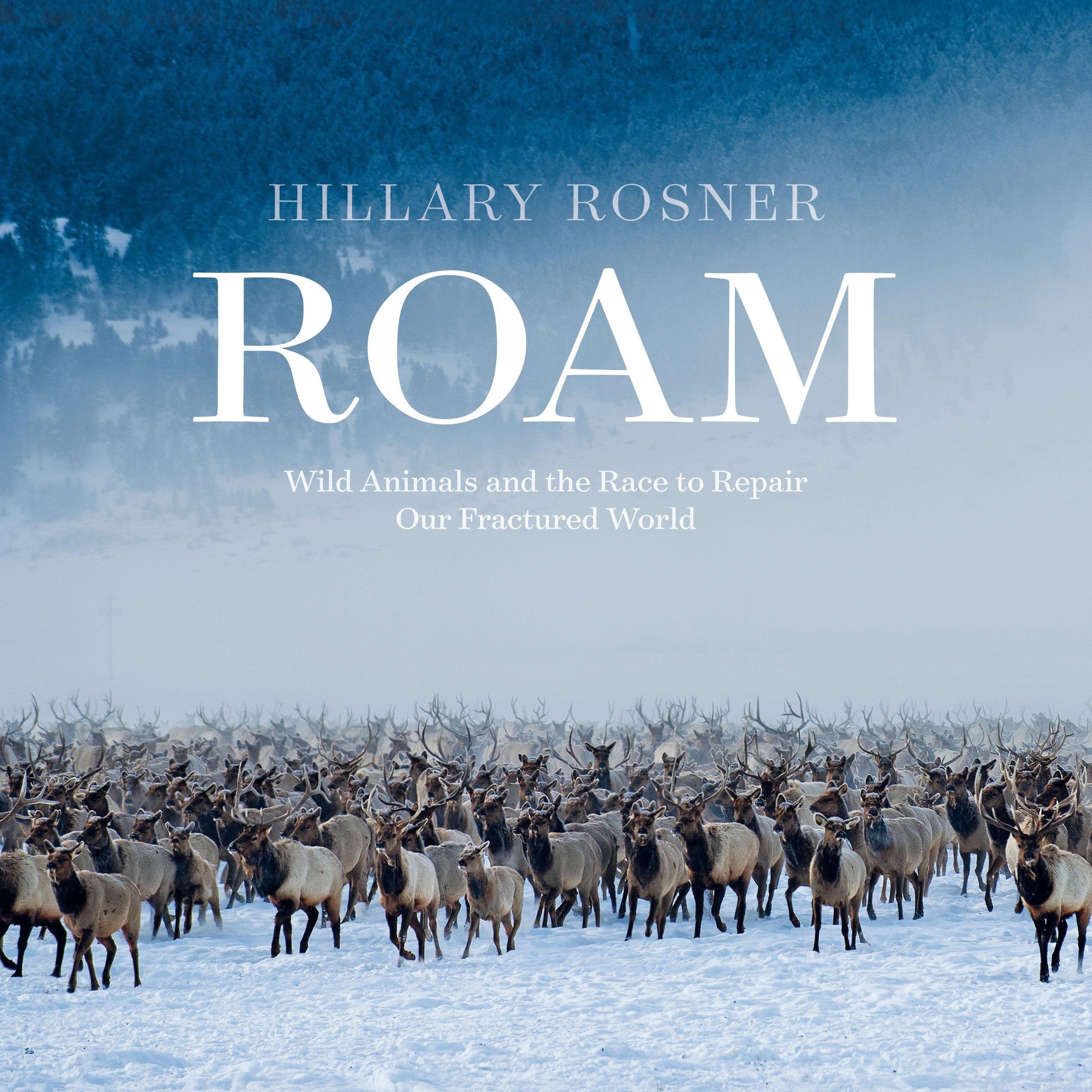 Roam