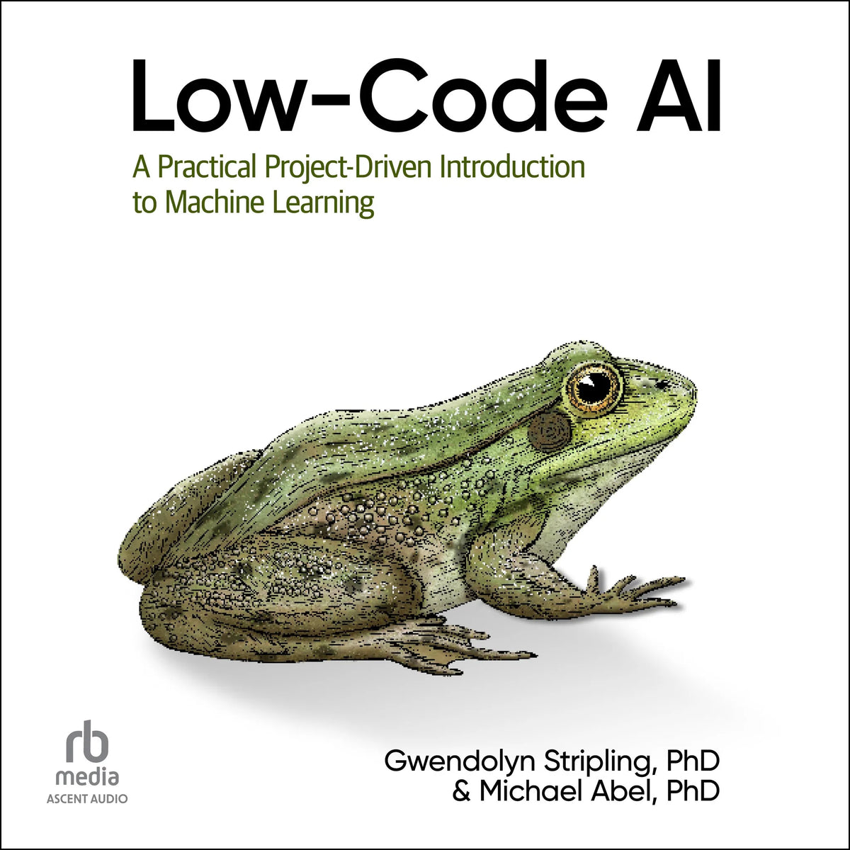Low-Code AI