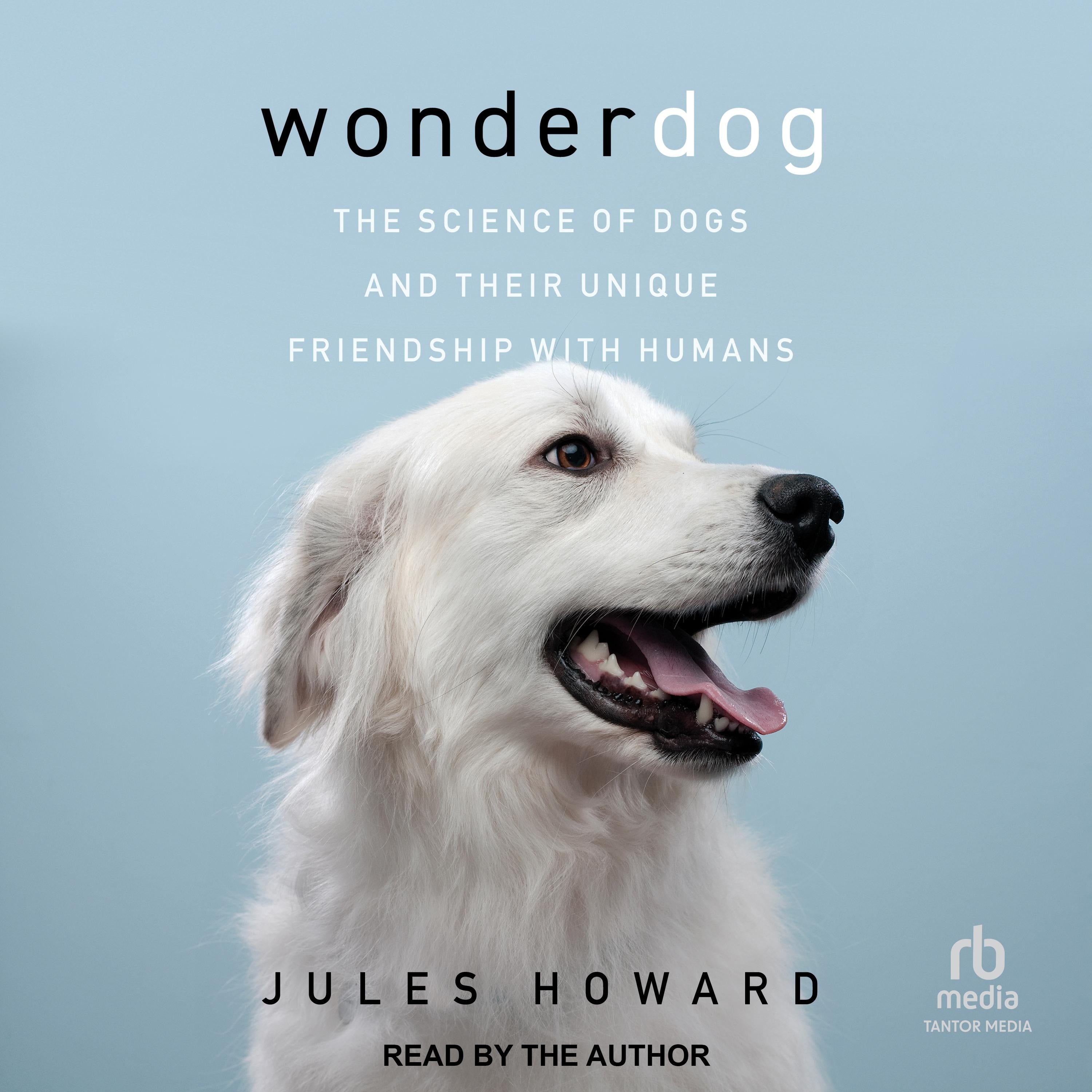 Wonderdog