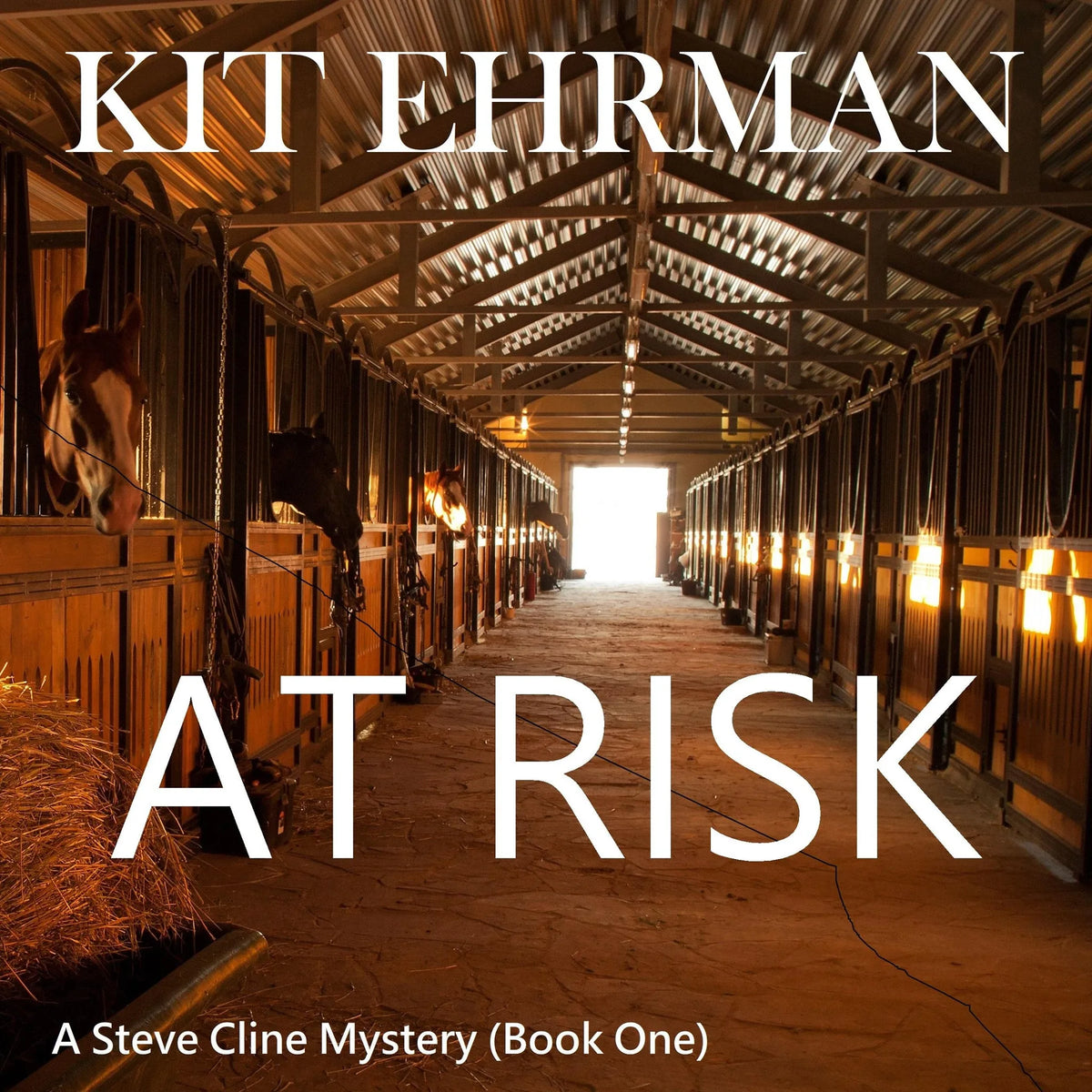 At Risk