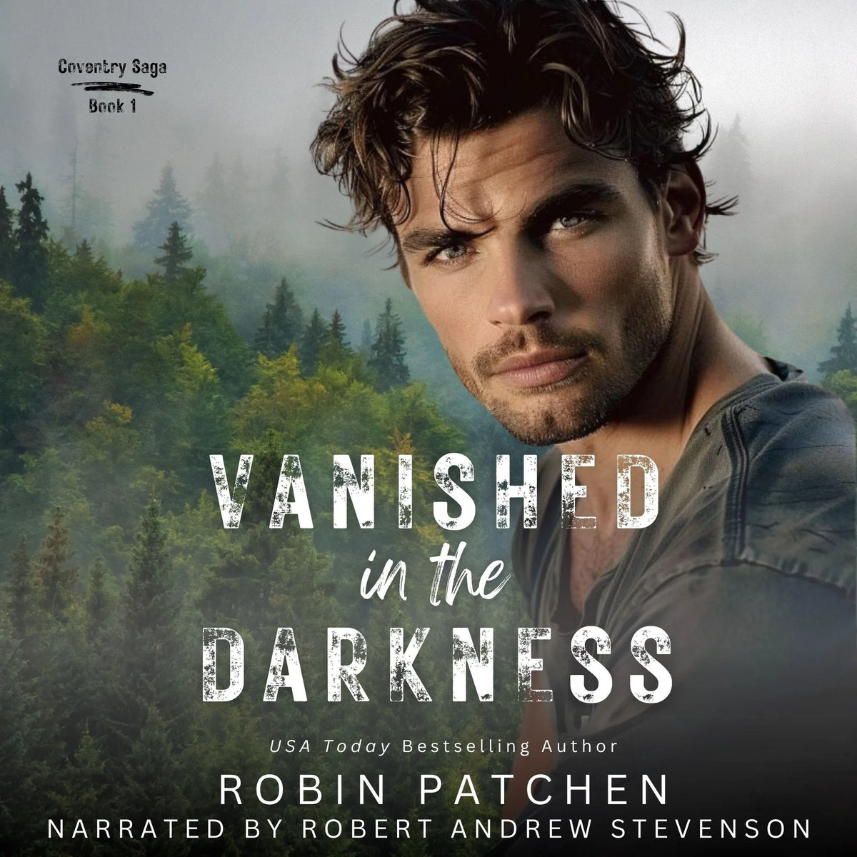Vanished in the Darkness