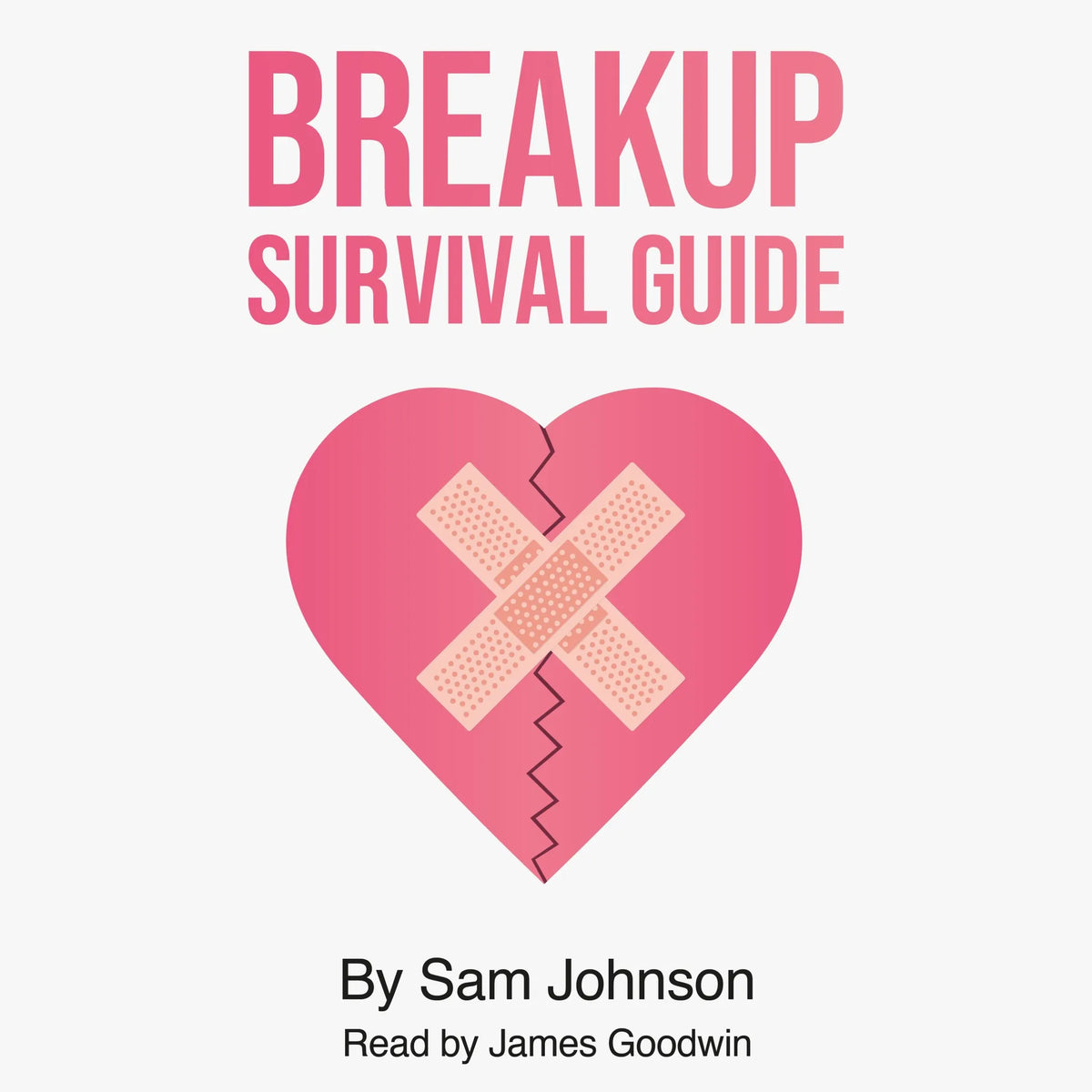 The Breakup Survival Guide
