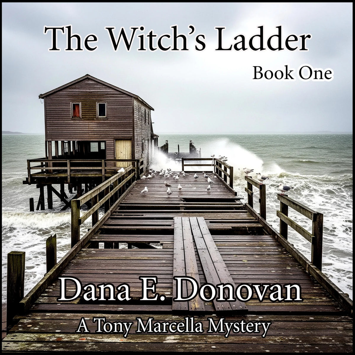 The Witch's Ladder