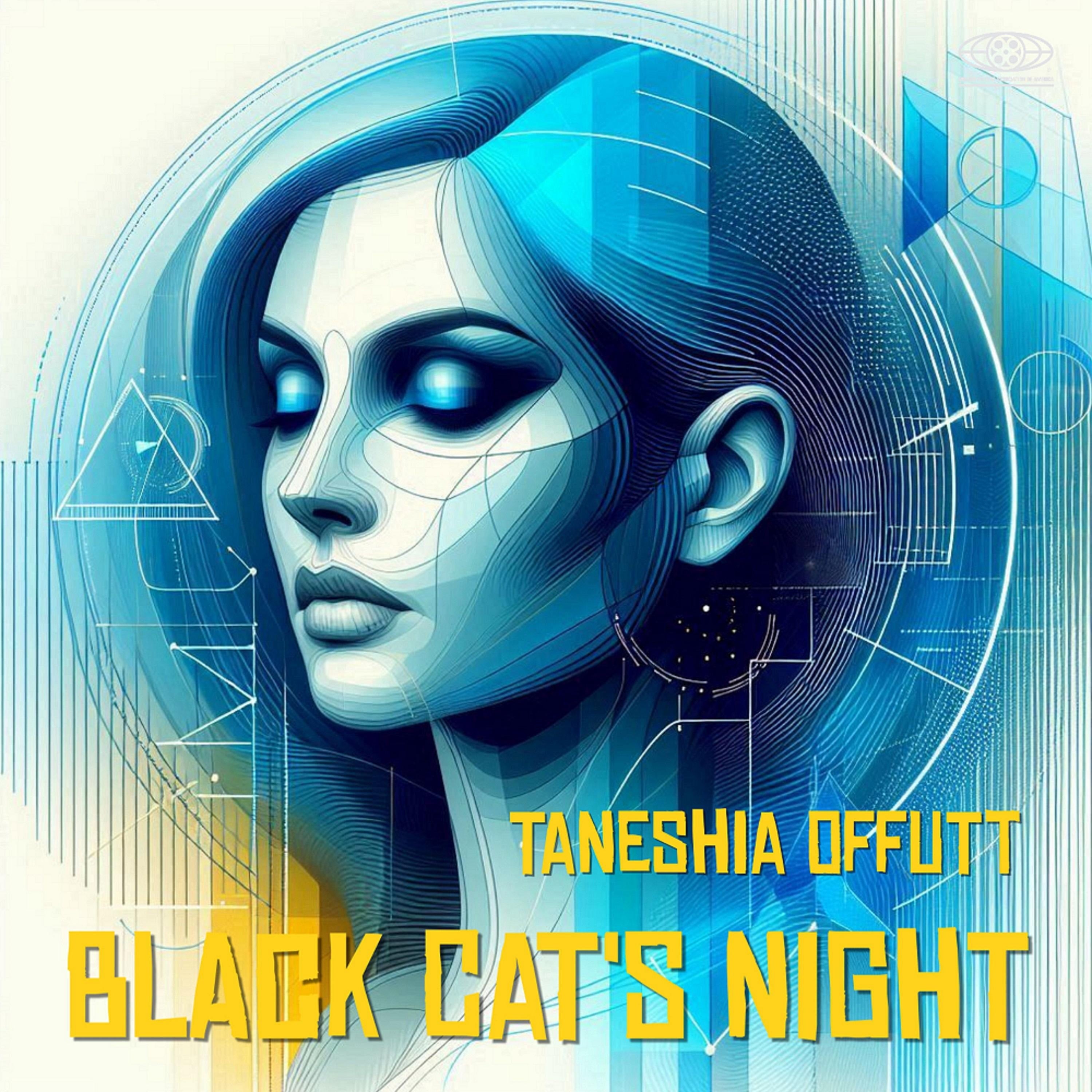 Black Cat's Night