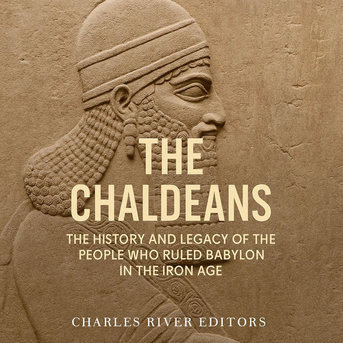 The Chaldeans: The History and Legacy of the People Who Ruled Babylon in the Iron Age