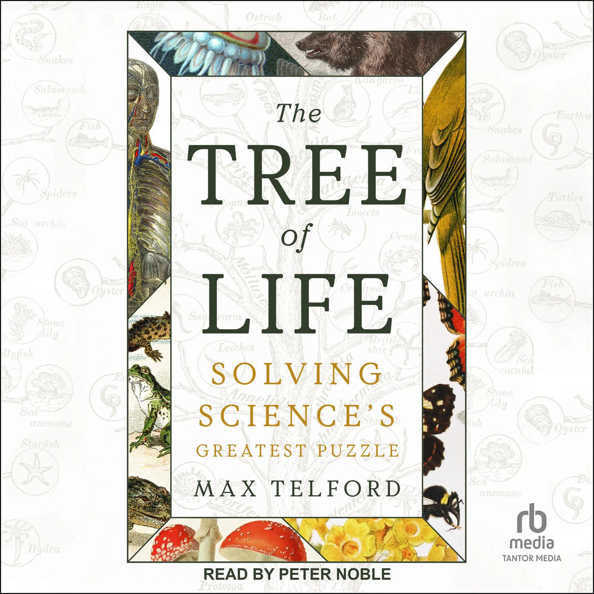 The Tree of Life