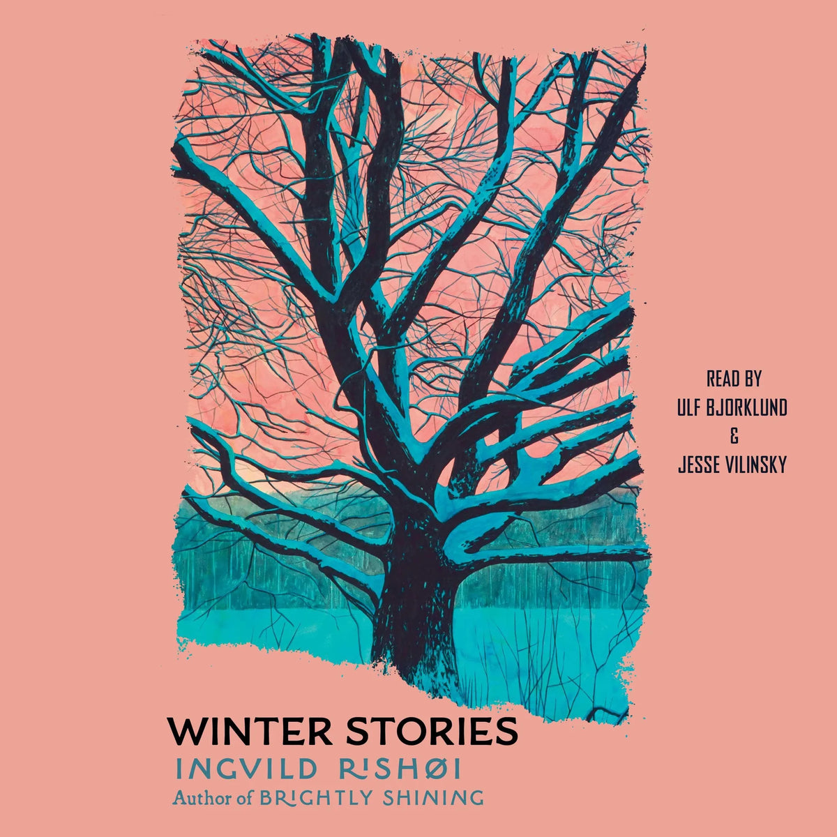 Winter Stories