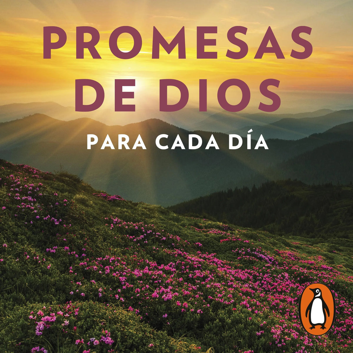 Promesas de Dios para cada día