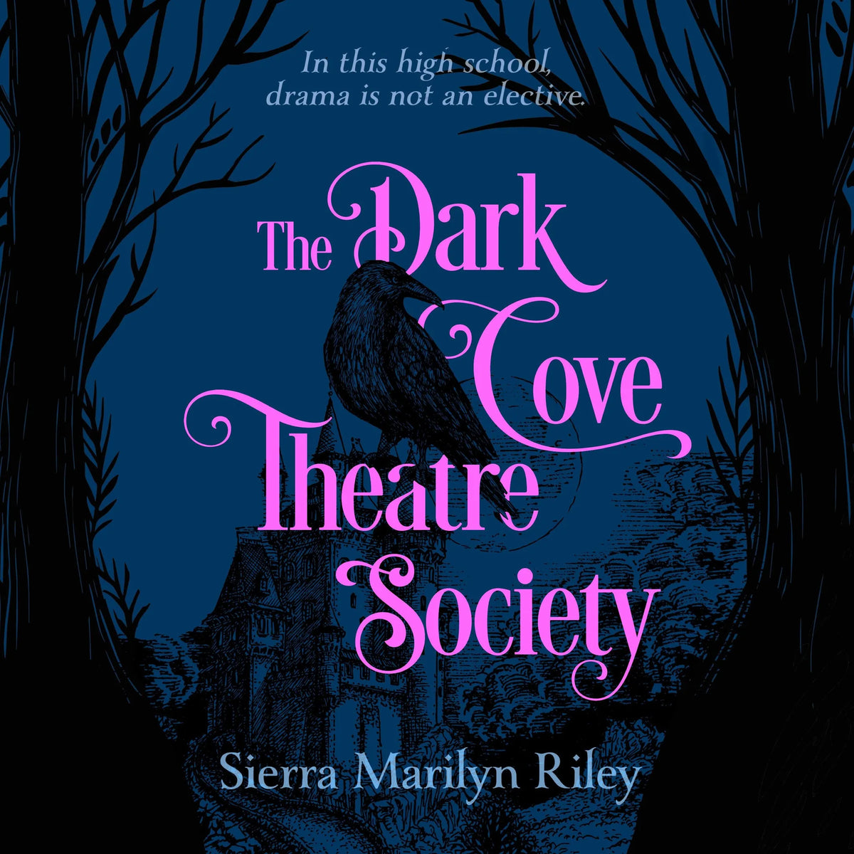 The Dark Cove Theatre Society