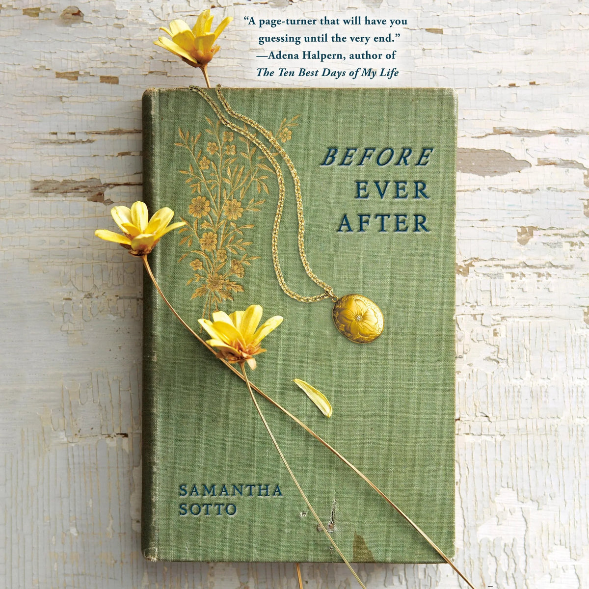 Before Ever After