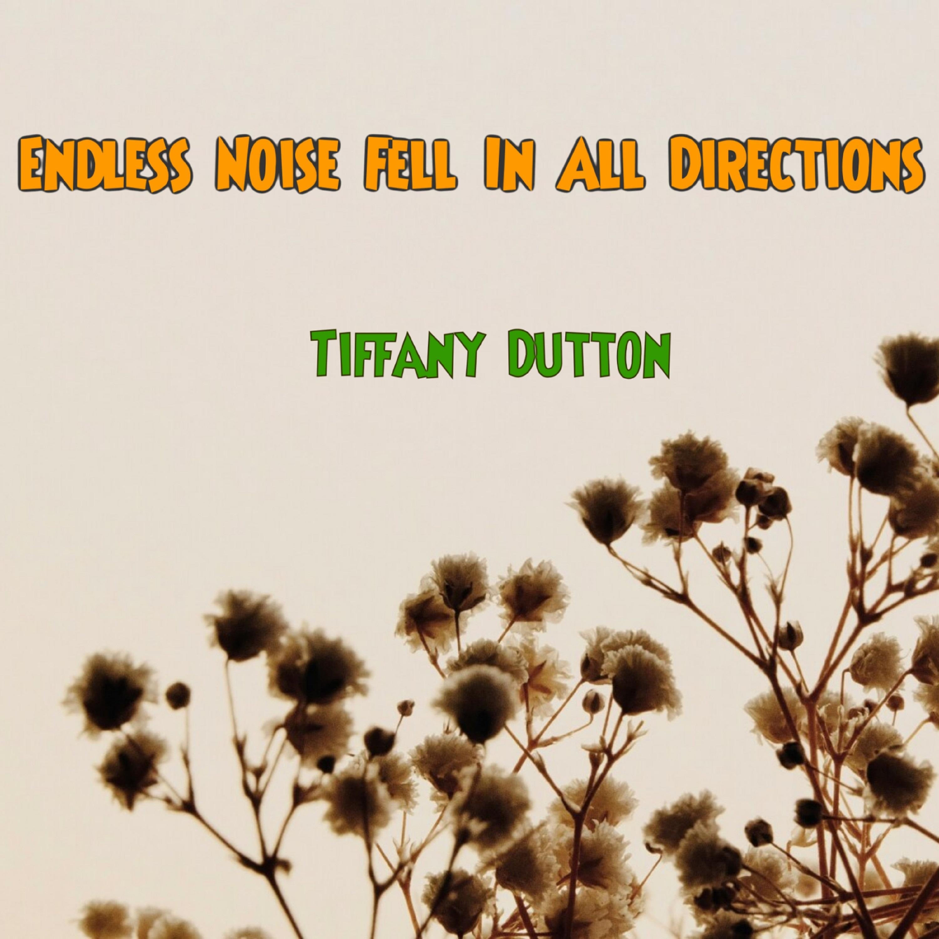 Endless Noise Fell In All Directions