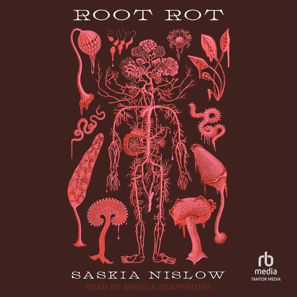 Root Rot