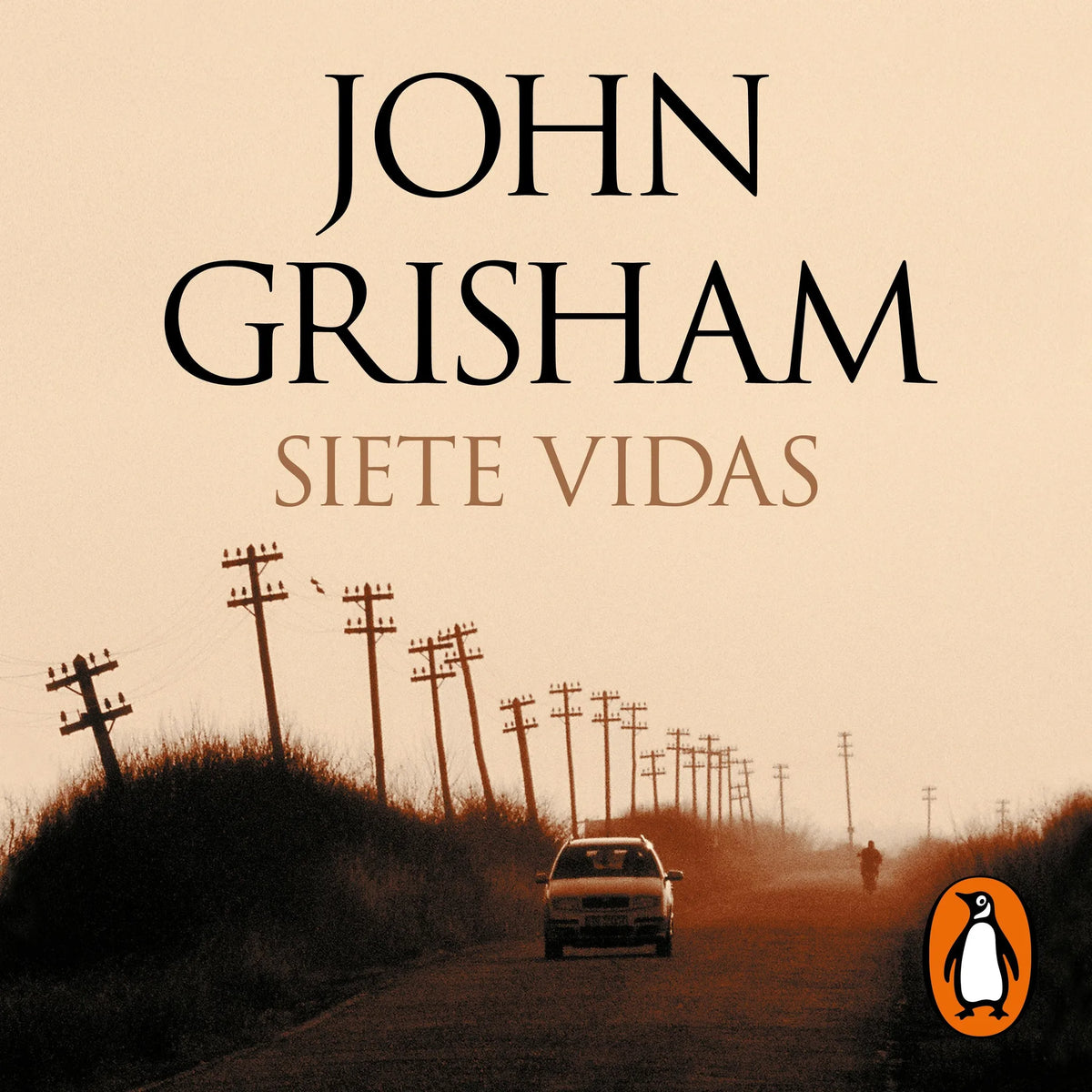 Siete vidas