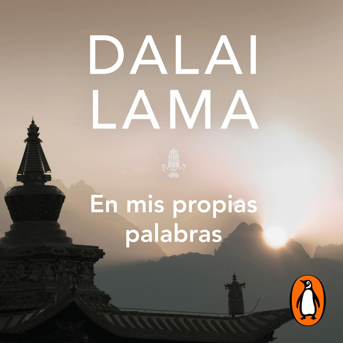 En mis propias palabras