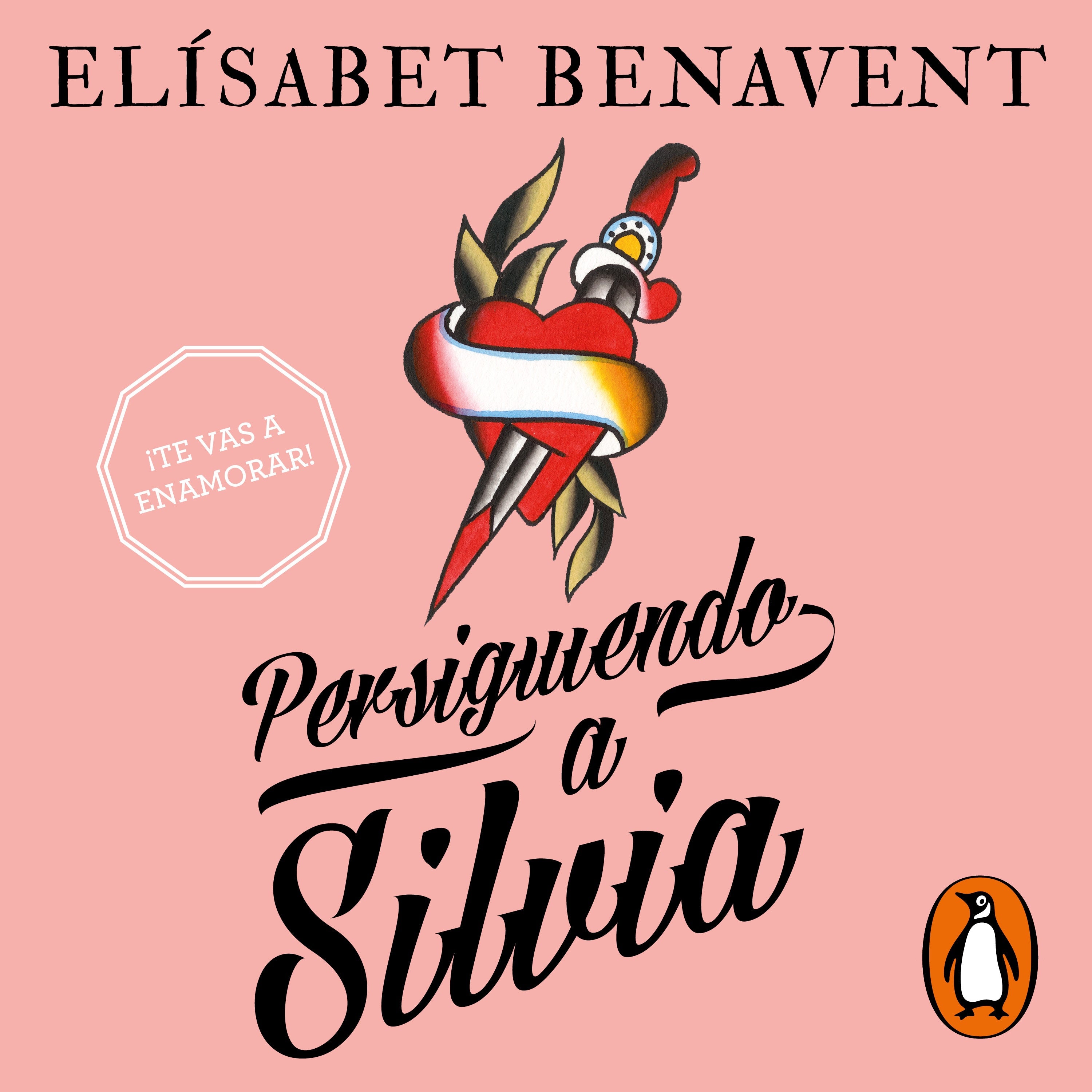 Persiguiendo a Silvia (Saga Silvia 1)