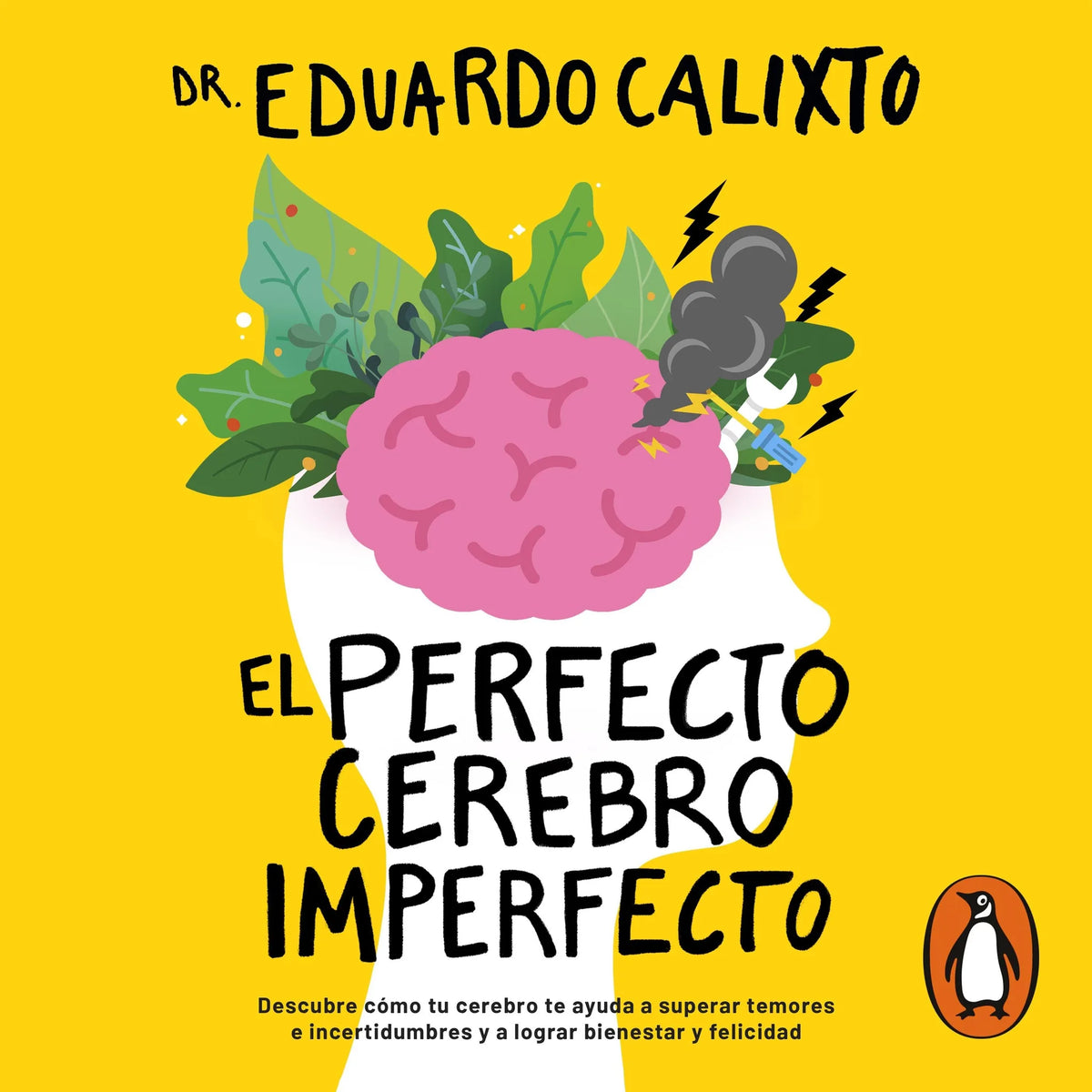 El perfecto cerebro imperfecto