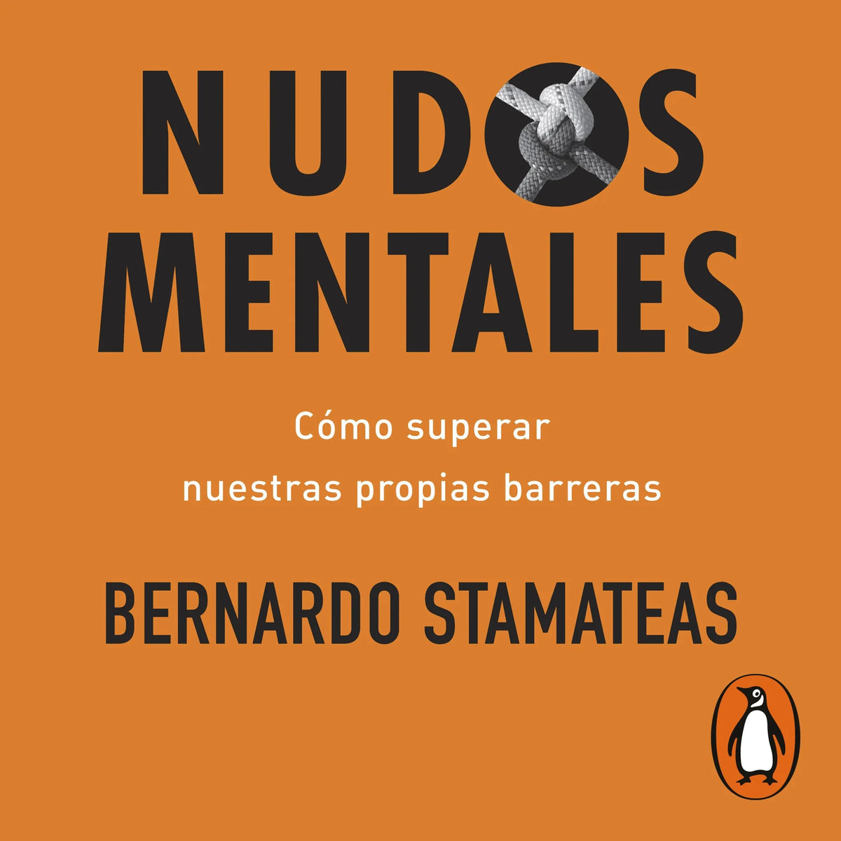 Nudos mentales