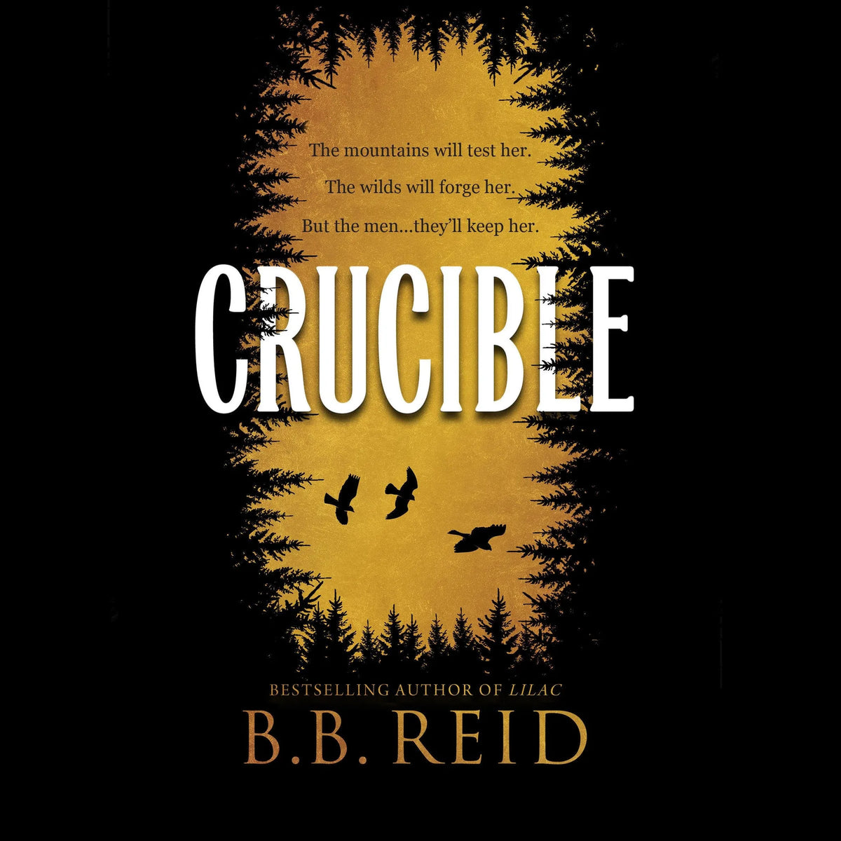 Crucible