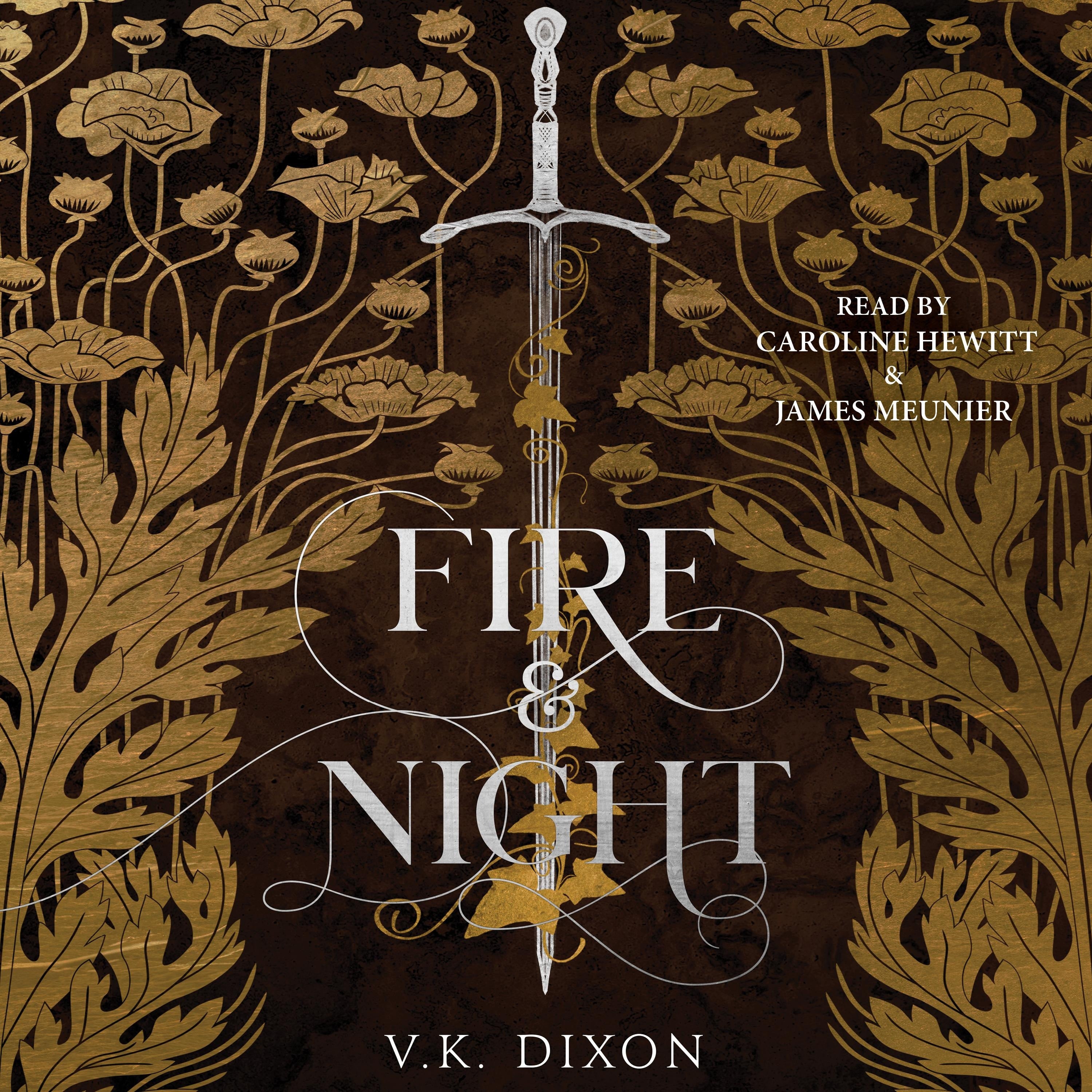 Fire & Night