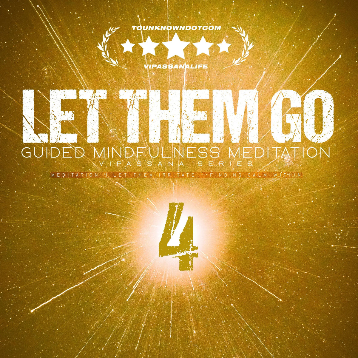 Let Them Go: Guided Mindfulness Meditation (Vipassana Series)