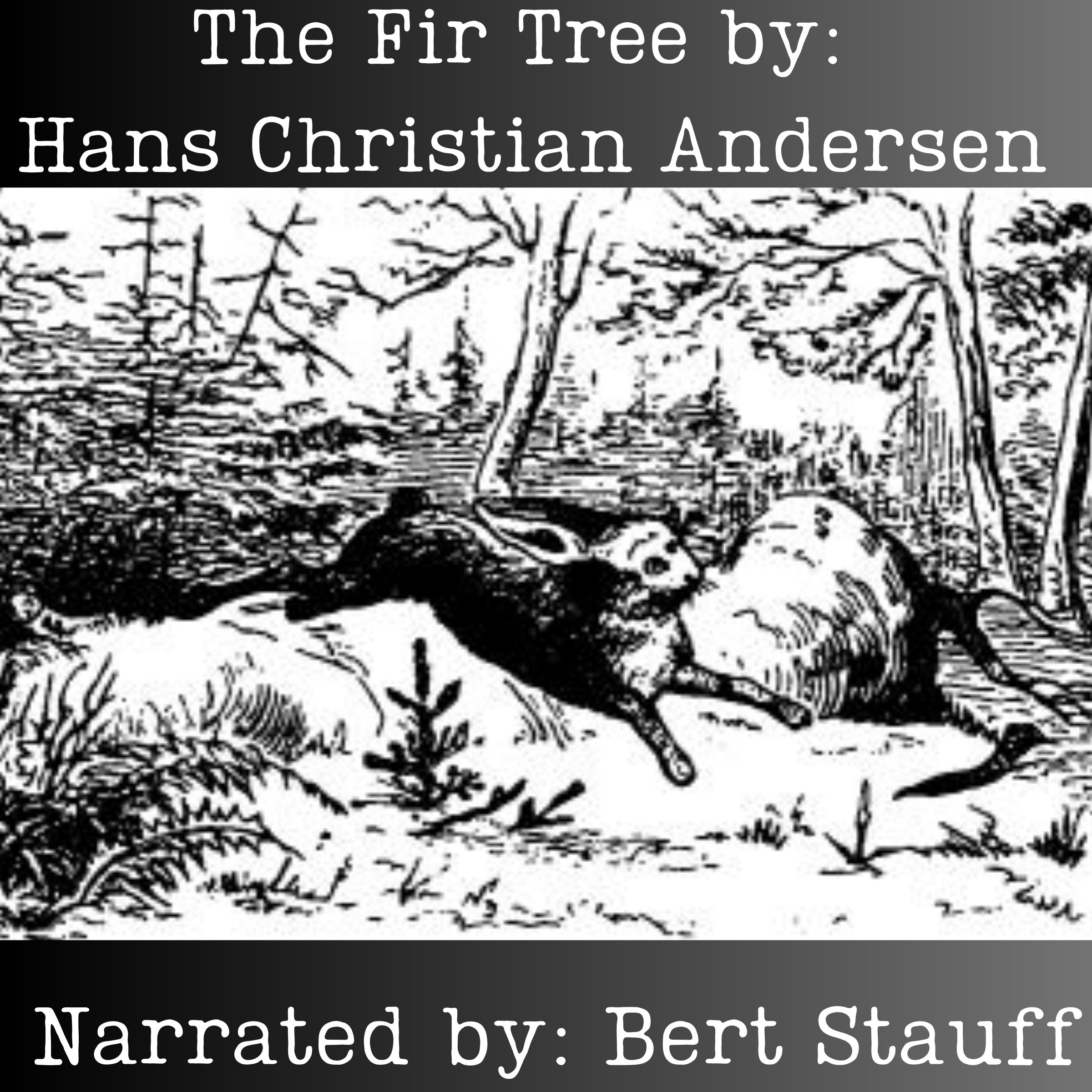 The Fir Tree