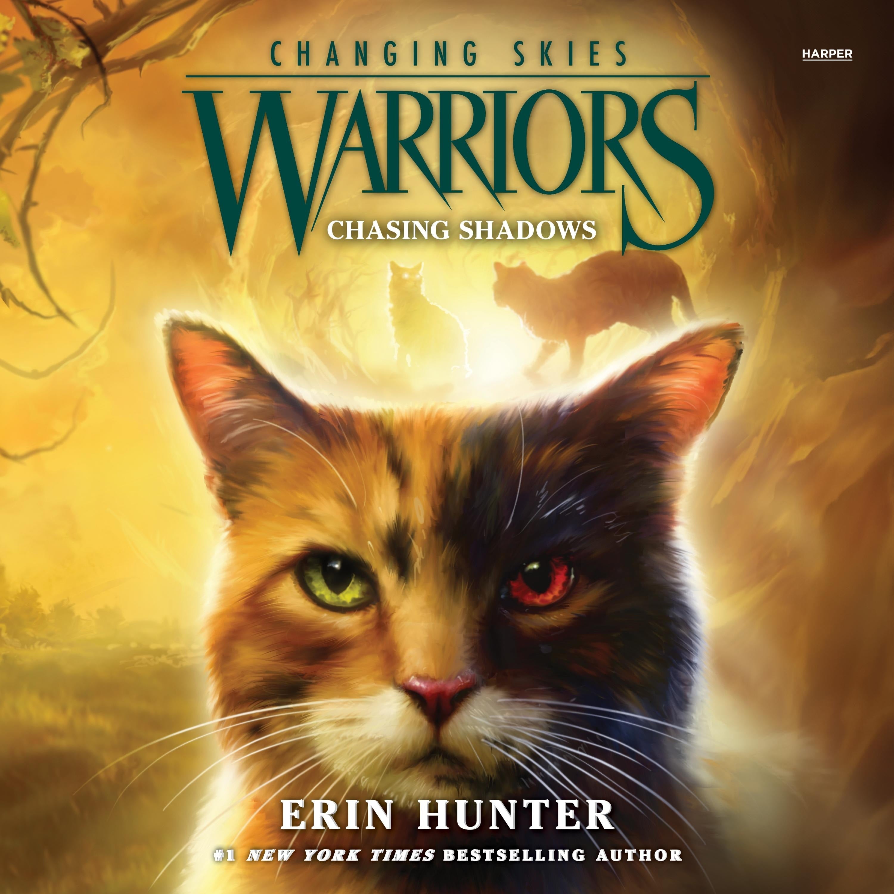 Warriors: Changing Skies #3: Chasing Shadows