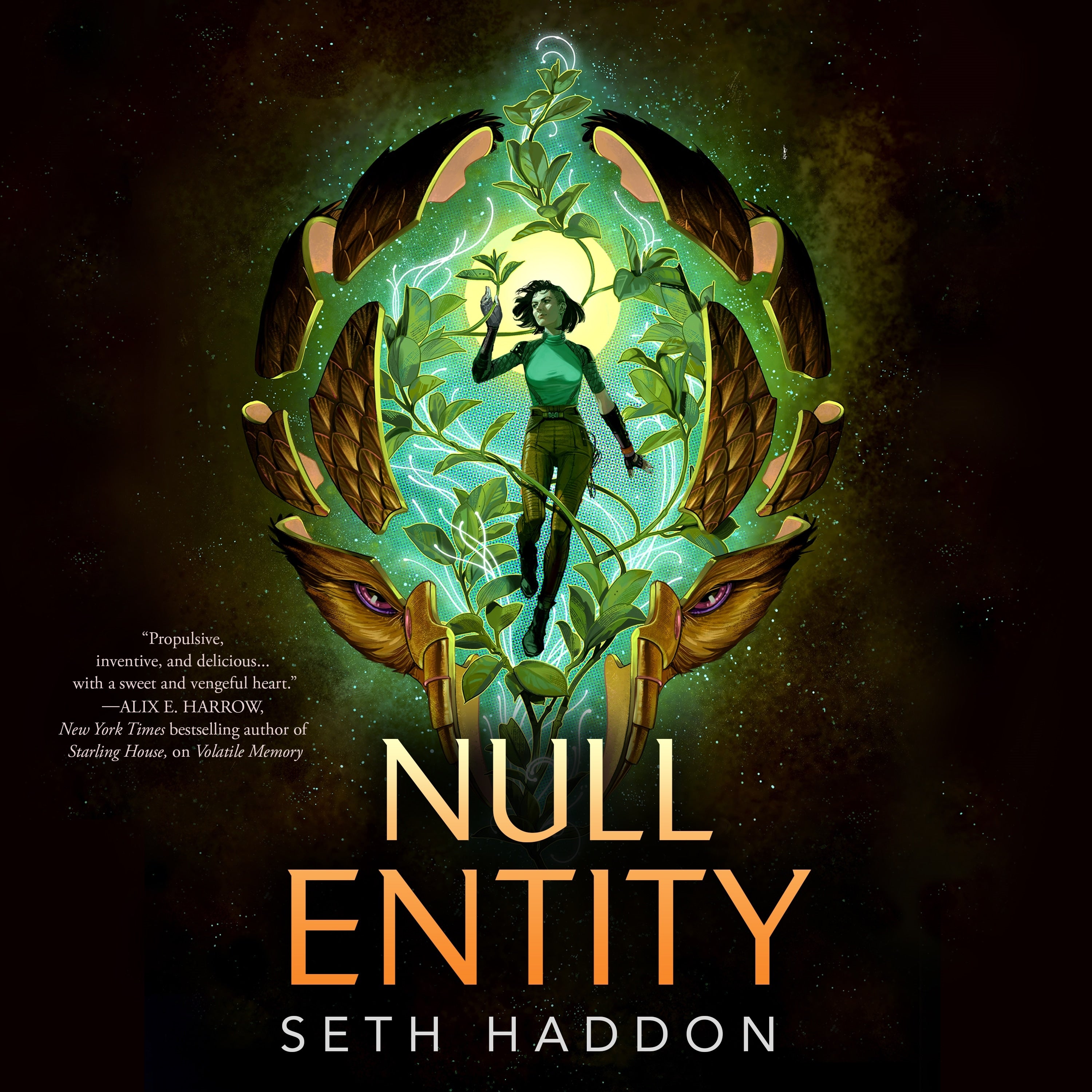 Null Entity