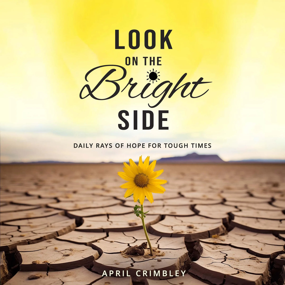 Look on the Bright Side
