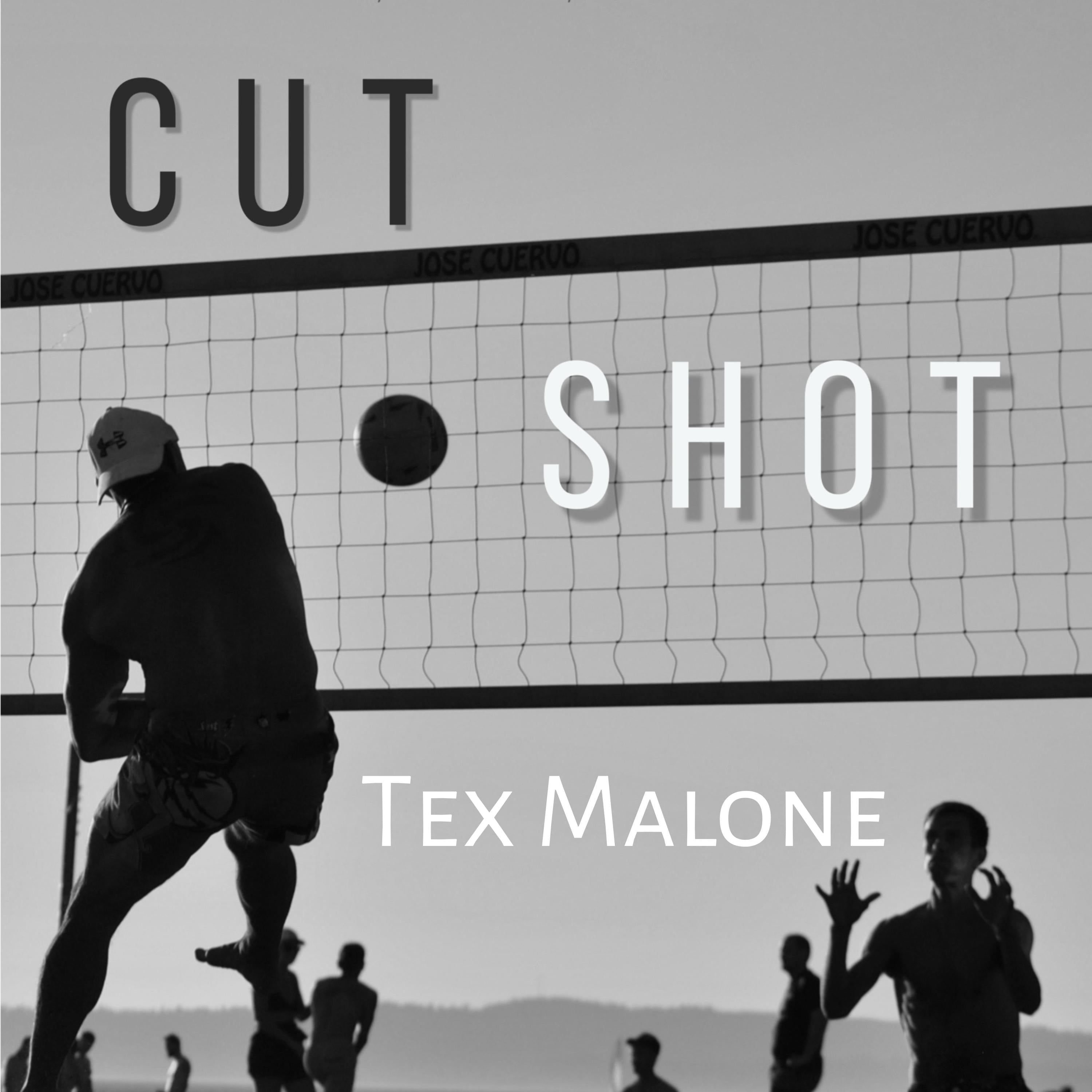 Cut Shot