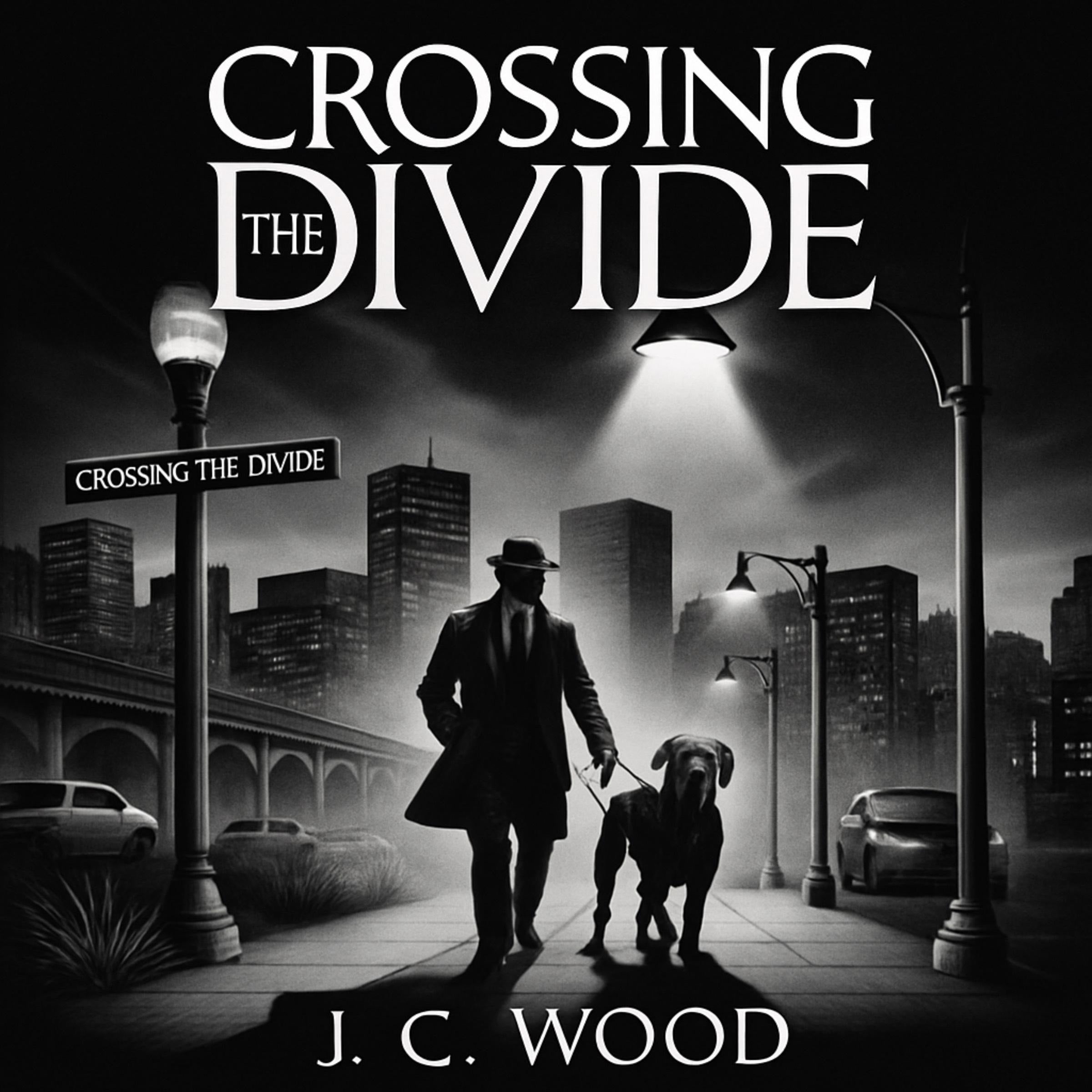 Crossing the Divide