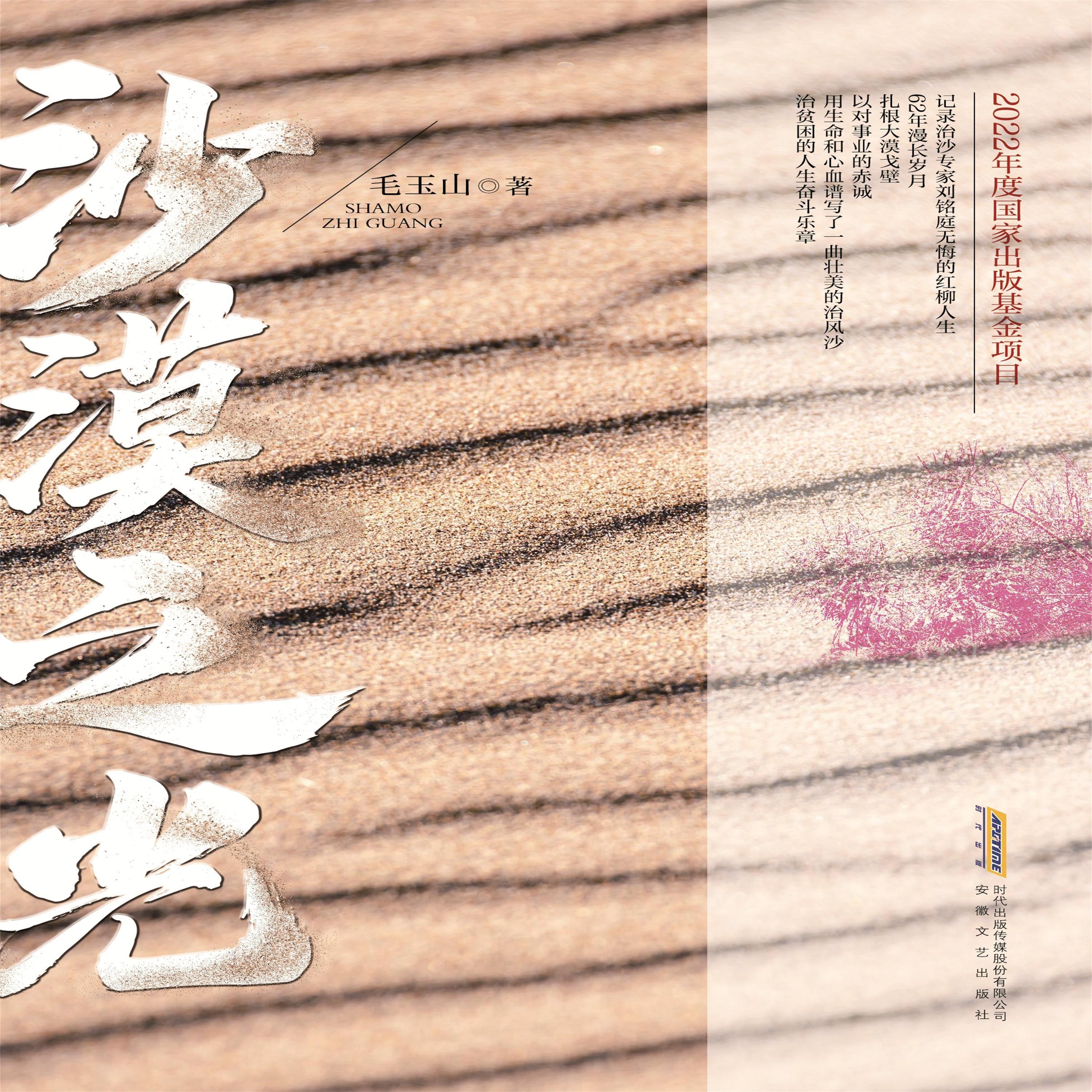 沙漠之光