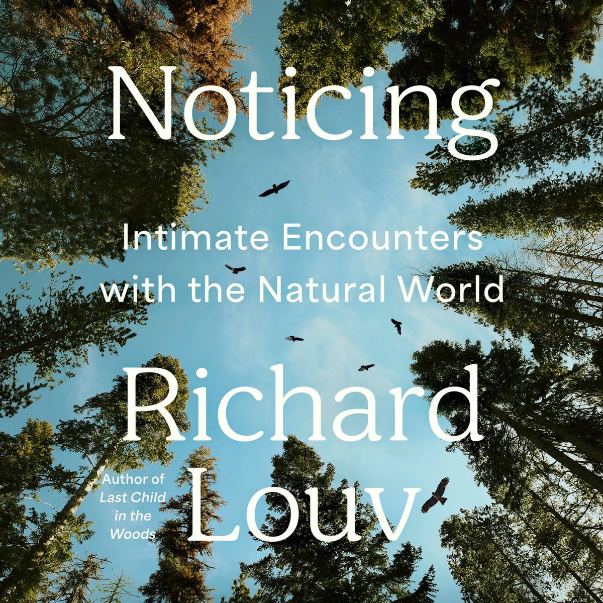 Noticing