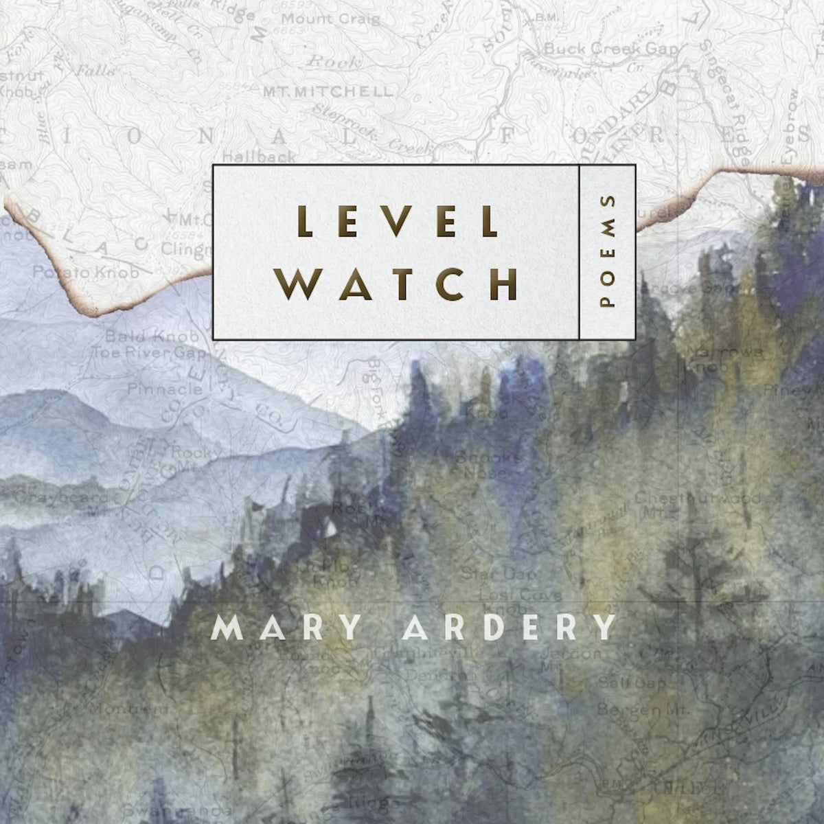 Level Watch
