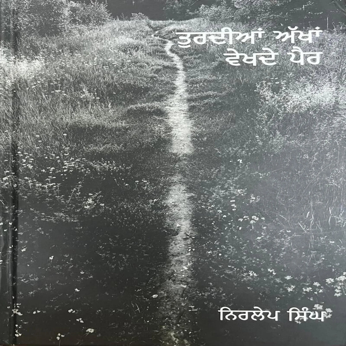 Turdiaan Akhaan Vekhde Pair