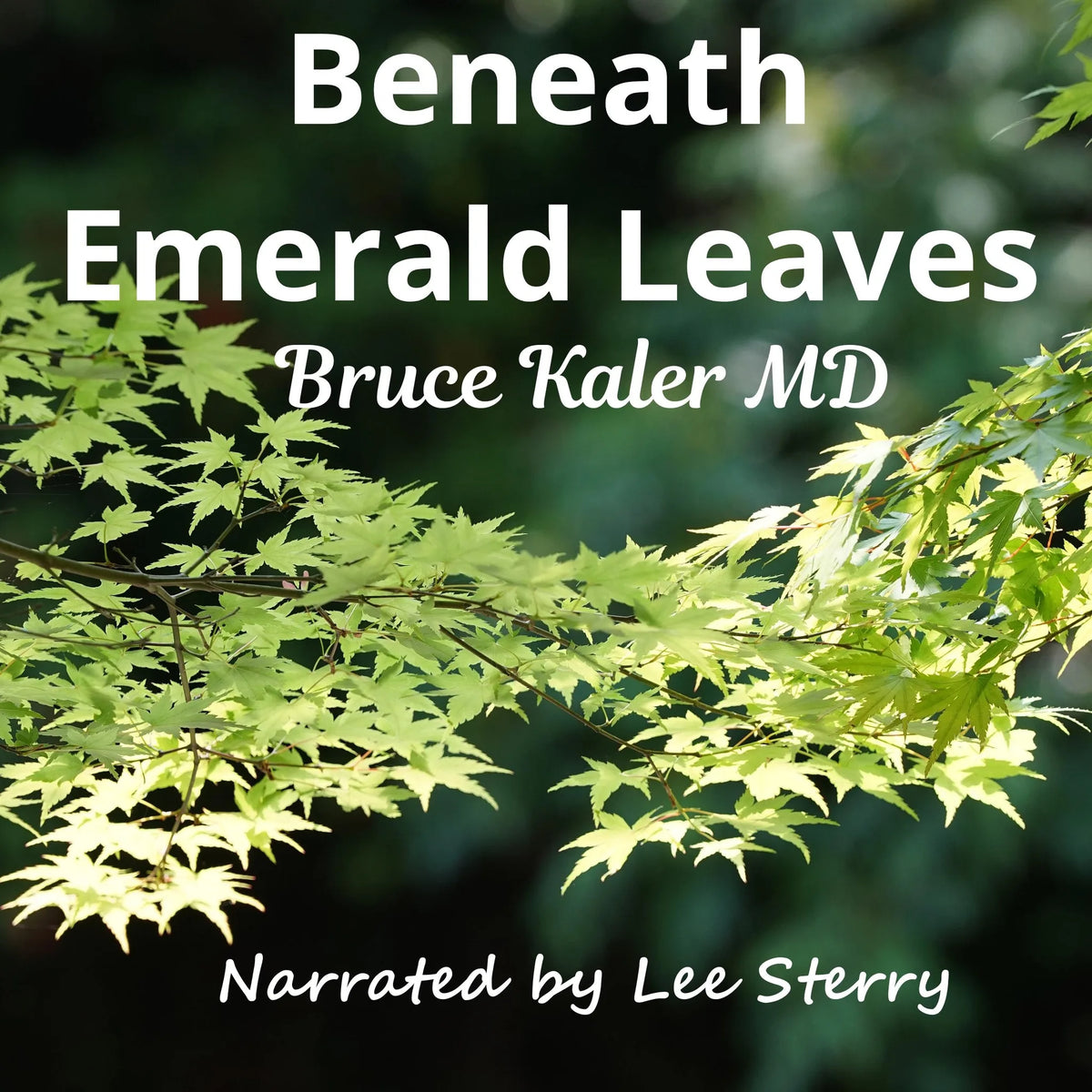 Beneath Emerald Leaves