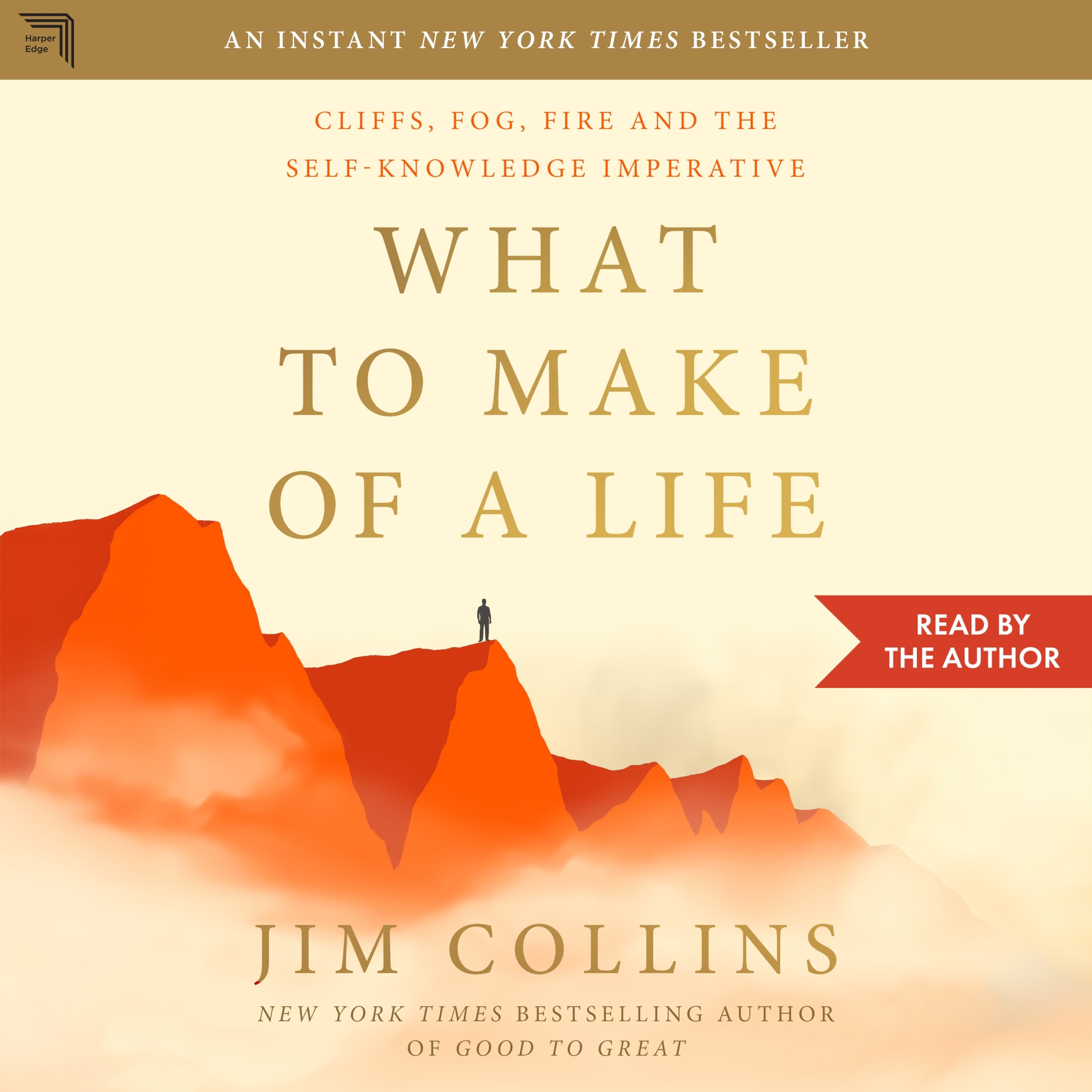 What to Make of a Life