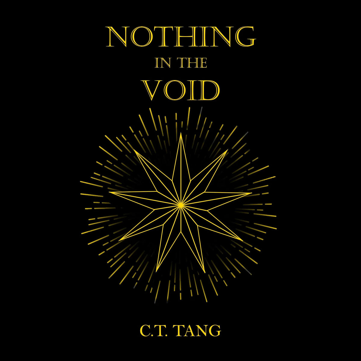 Nothing in the Void
