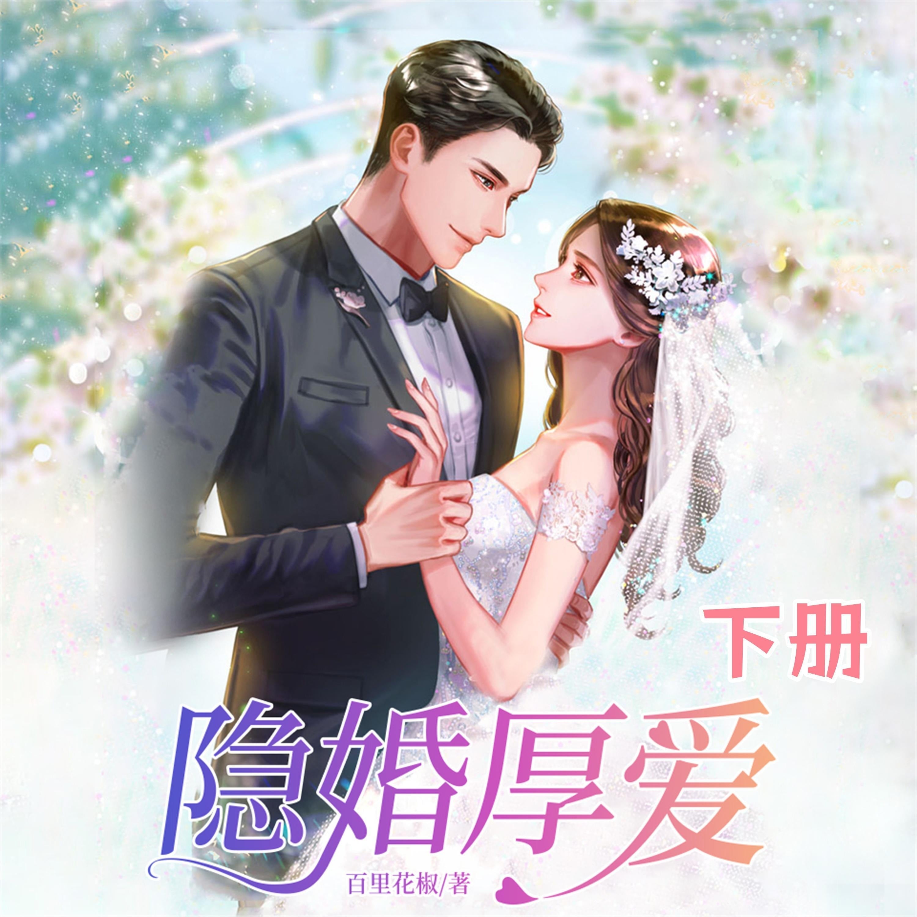 隐婚厚爱（下）
