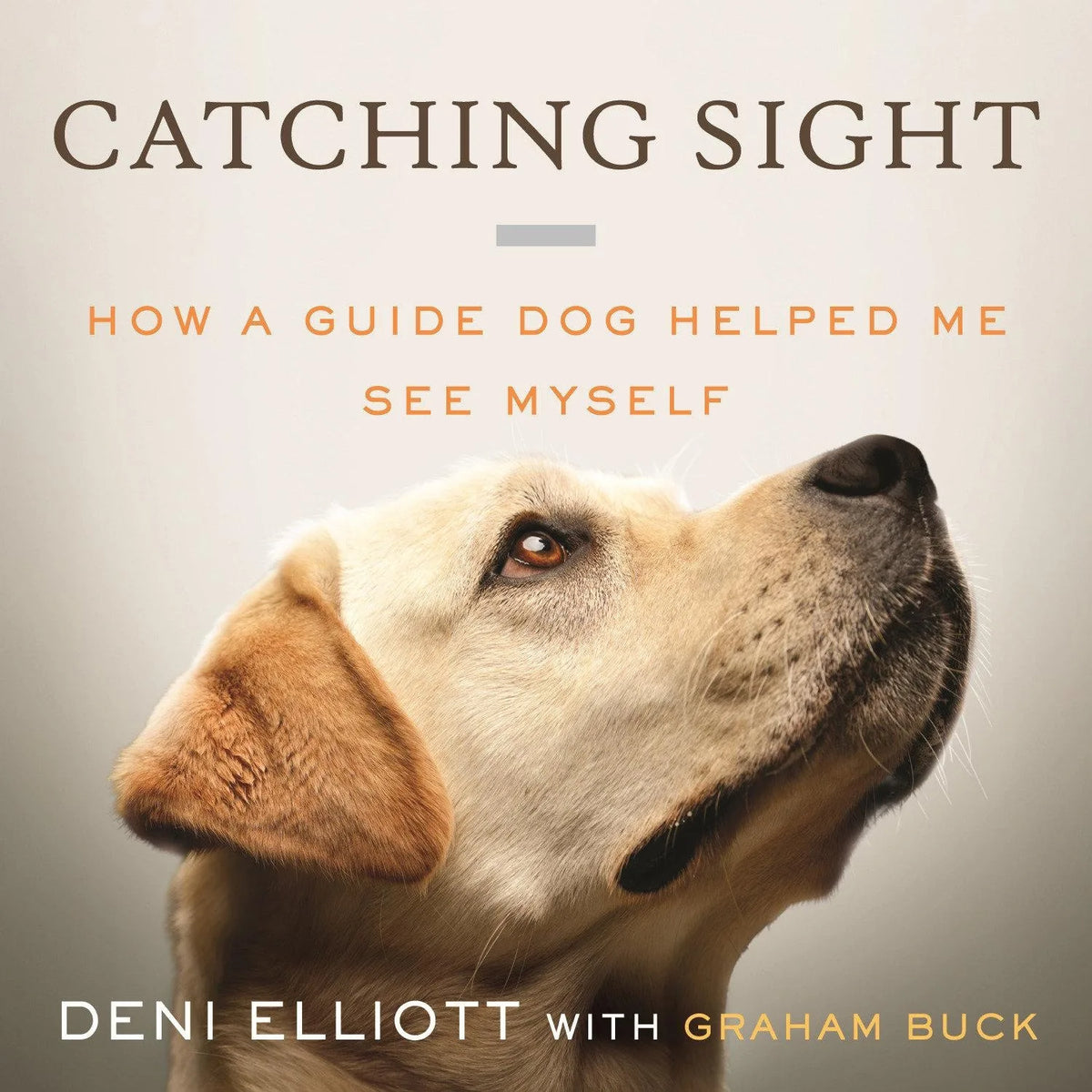 Catching Sight