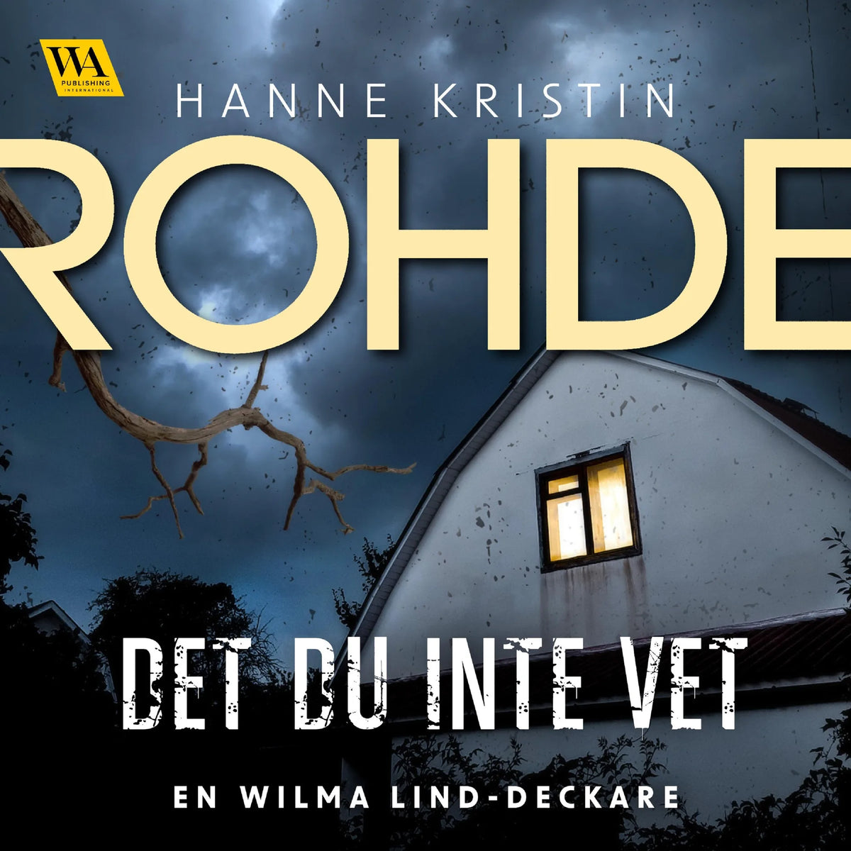 Det du inte vet