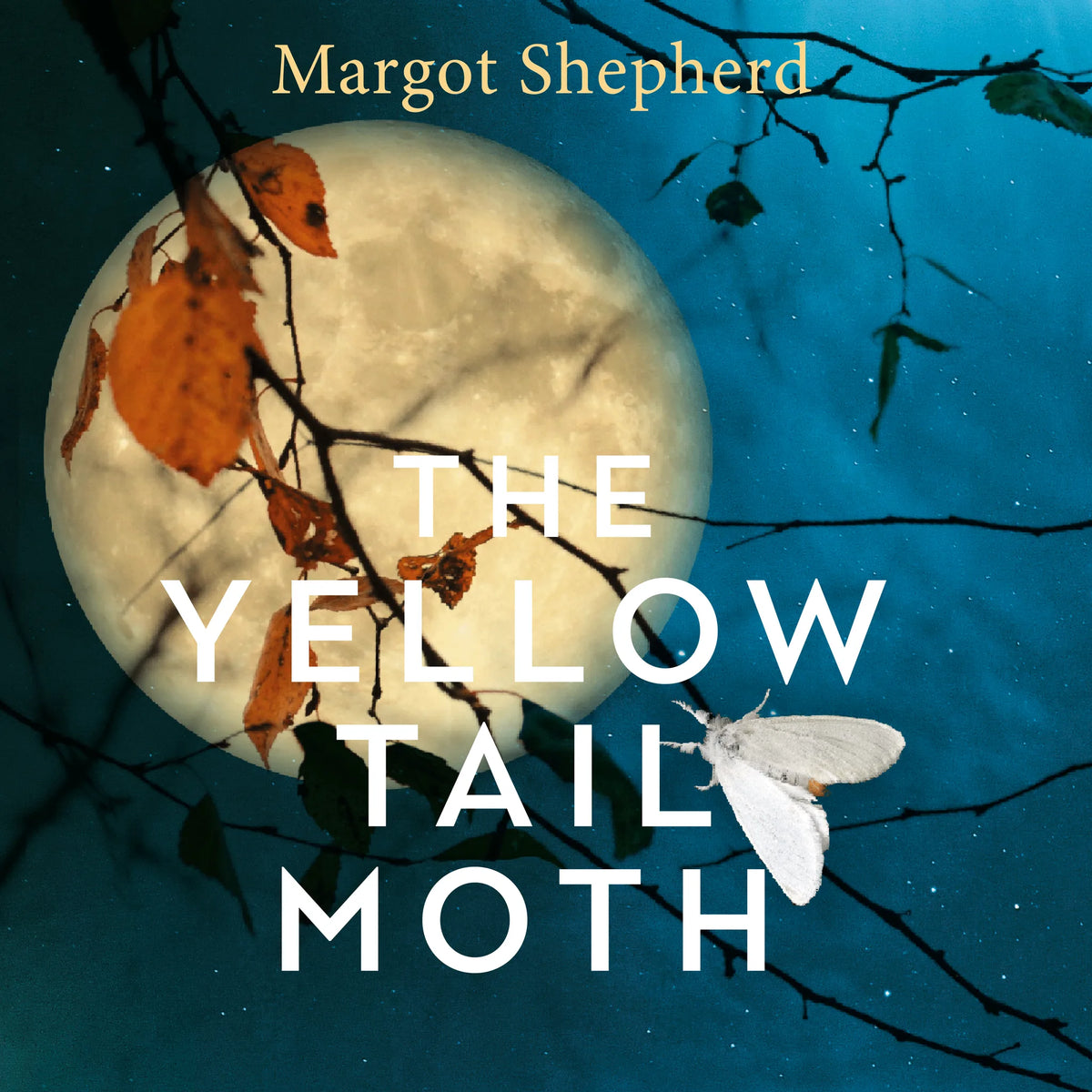 The Yellow-Tail Moth